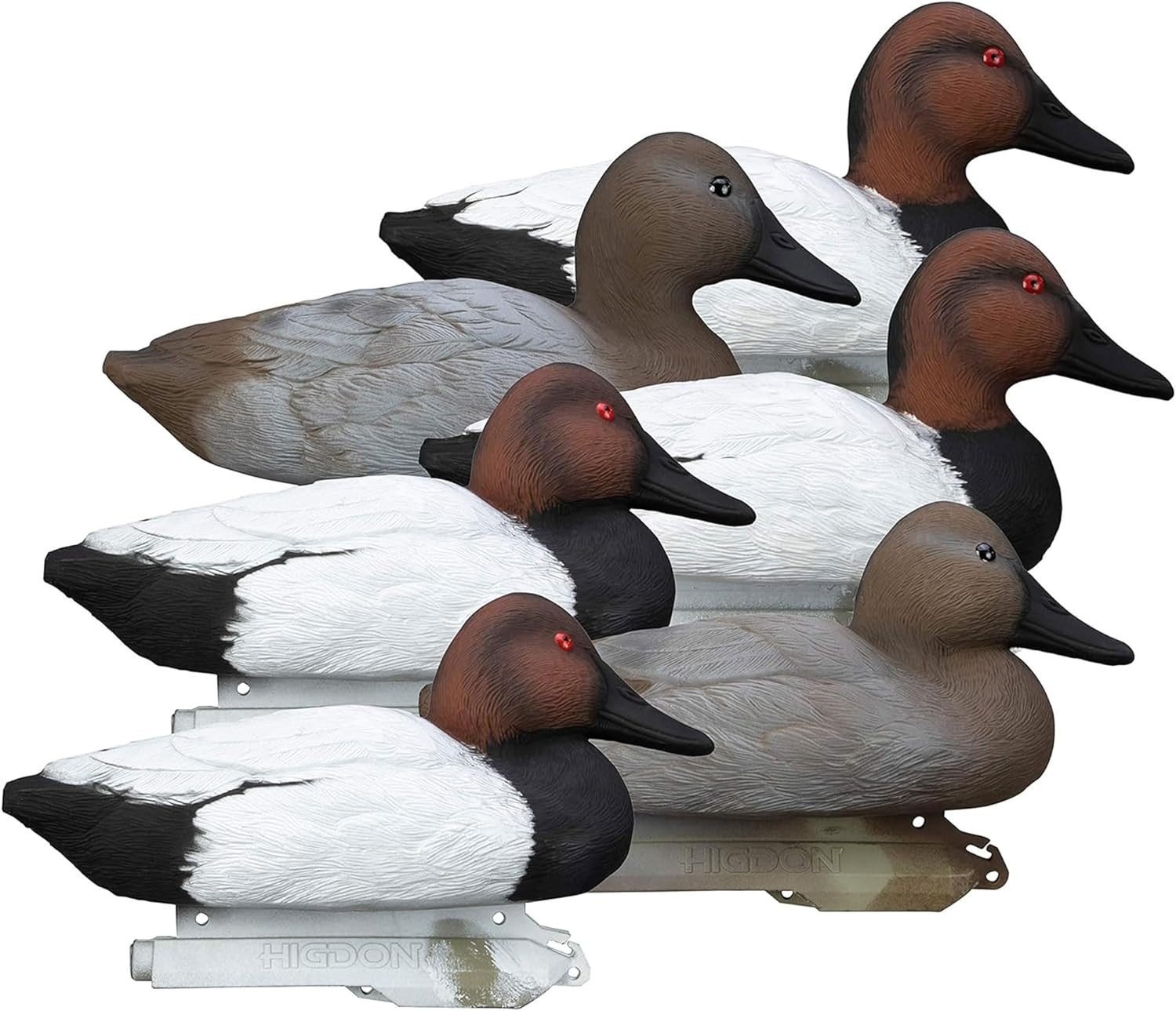 | Standard Canvasback Duck Decoys, Foam-Filled