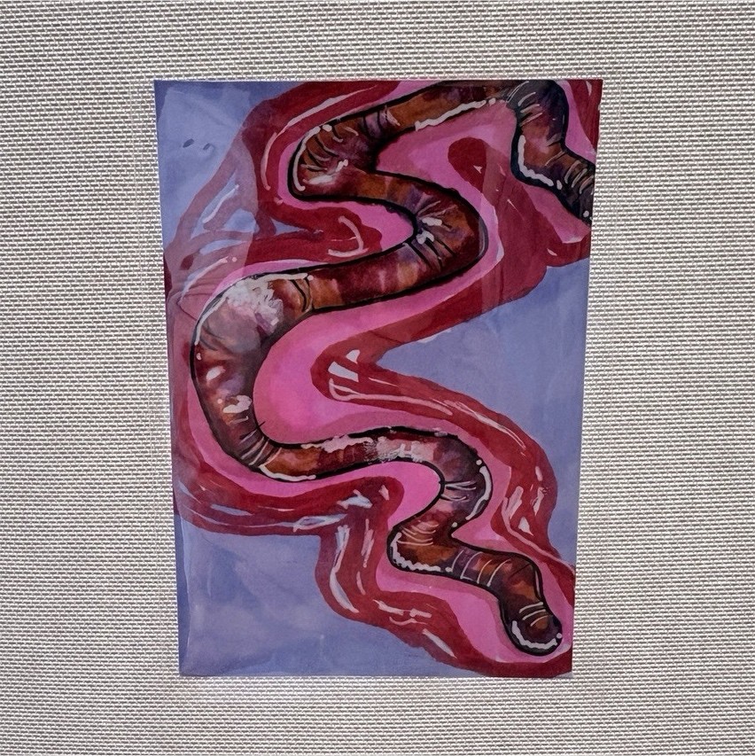 The Secretary Movie Inspired Illustration Red Circled Worm ACEO 2.5x3.5in Signed