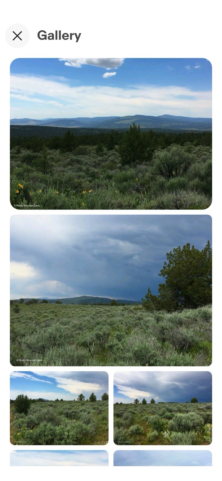 Northern California Ranch