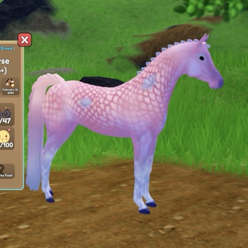 Arabian Horse Epic Breed Pastel Mermaid 80% Purebred Competition Unique Asset