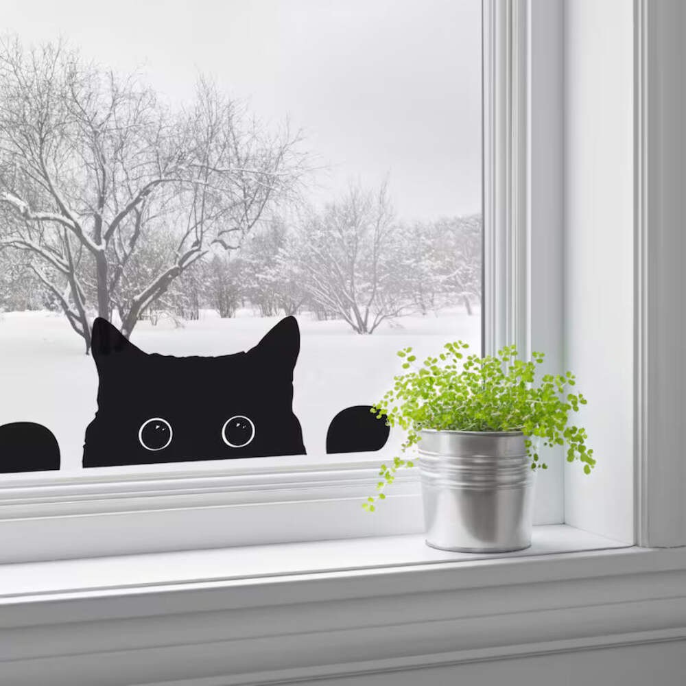 Peeping Cat | Die Cut Vinyl Decal