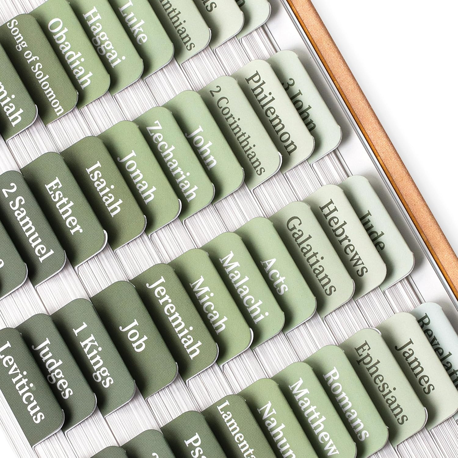 - Bible Tabs, 75 Tabs, Sage Green, Laminated Bible Tabs for Women and Men, Bible