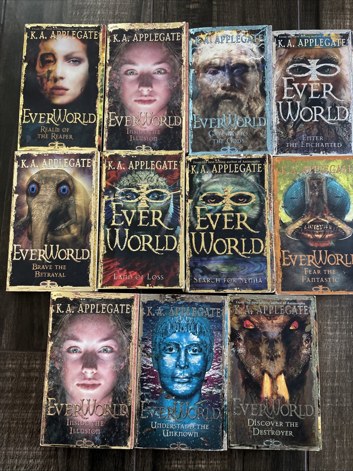 Everworld Book Lot Of 11 K. A. Applegate Lot Paperback Fantasy Incomplete