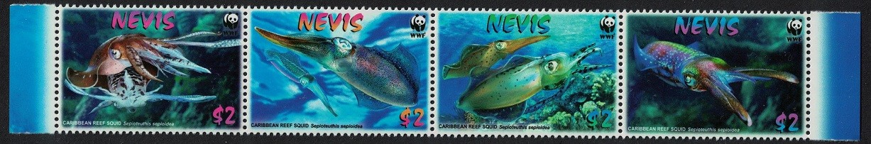 Nevis WWF Caribbean Reef Squid Strip of 4v 2009 MNH SG#2155-2158