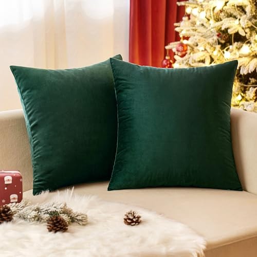  Pack of 2 Velvet Christmas Throw Pillow 20" x 20" (Pack of 2) Dark Green