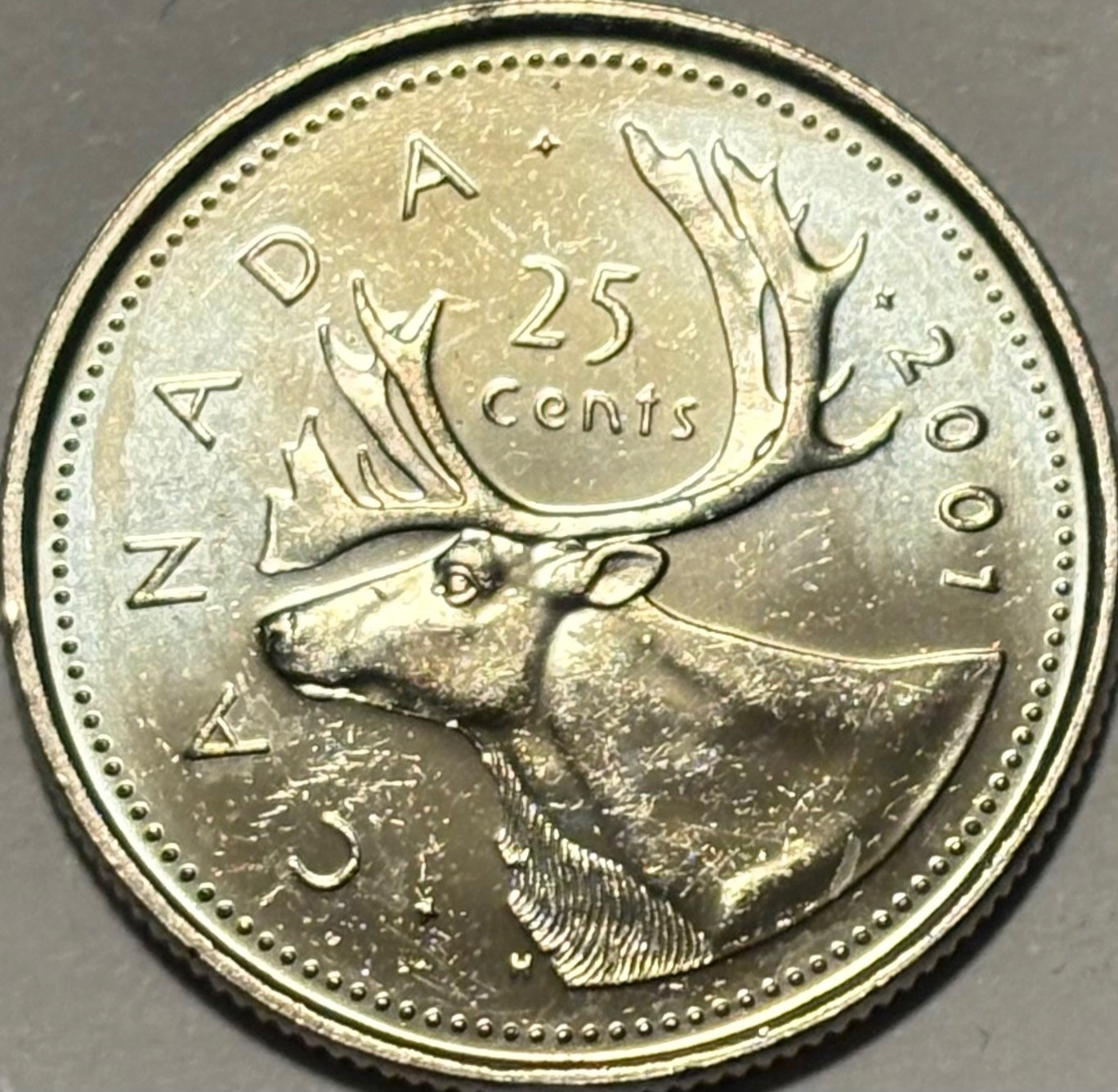 *RARE* 2001 NO P Canada 25 Cent Quarter! UNCIRCULATED!