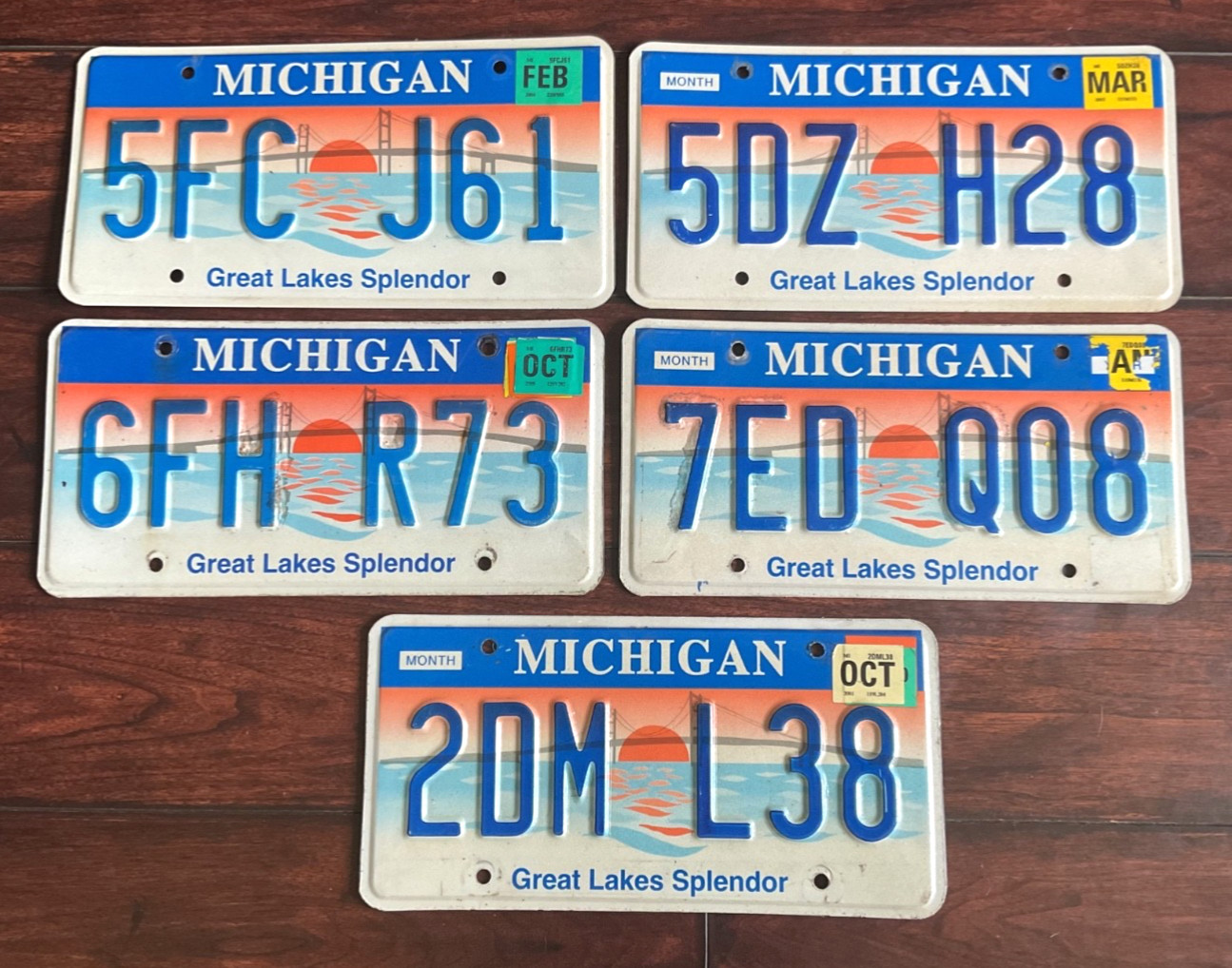 RARE LOT OF 5 MICHIGAN GREAT LAKES SPLENDOR LICENSE PLATE PLATES 2001 2002 2004