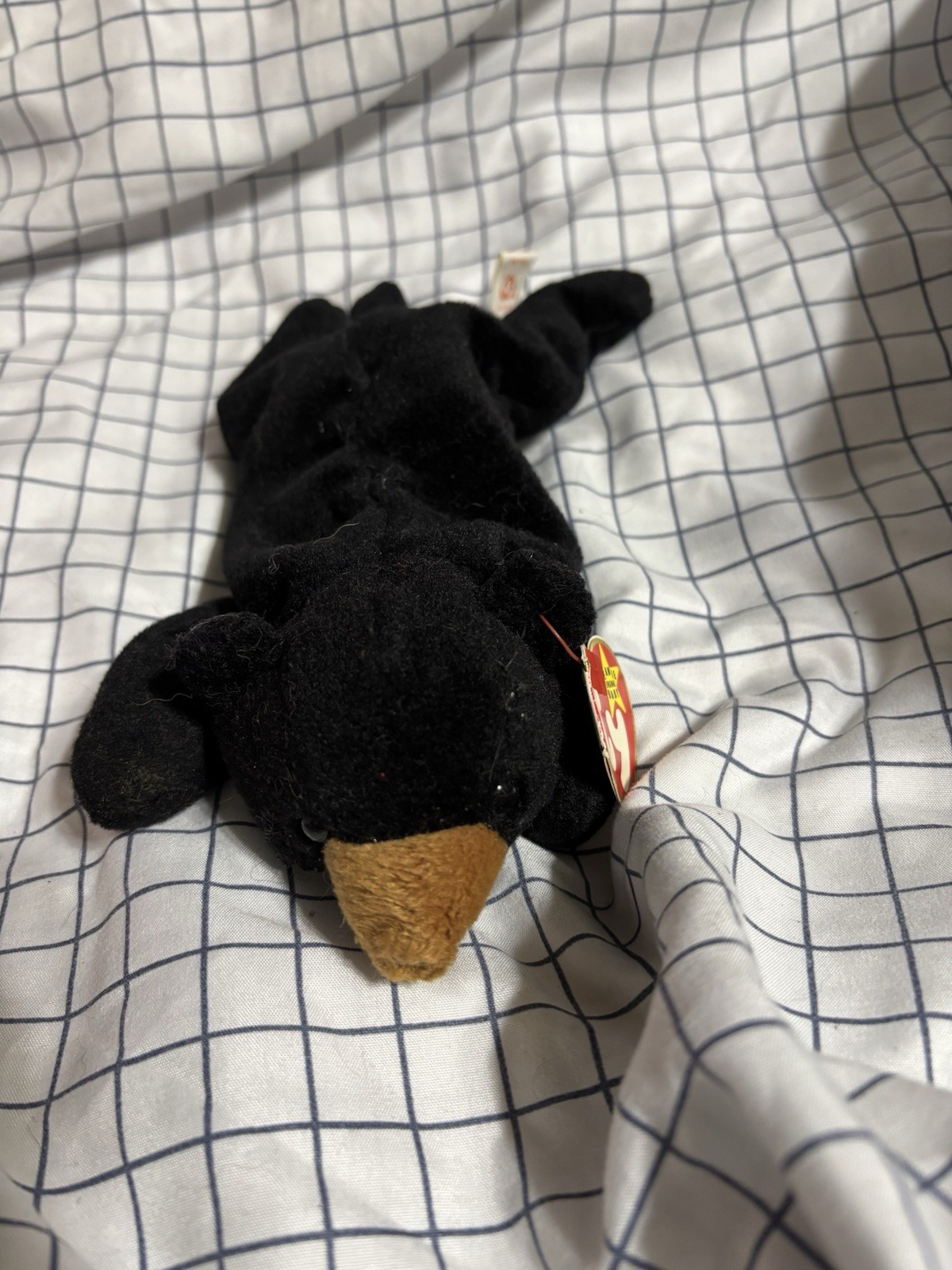 Ty Beanie Baby Blackie Bear Retired Original, Ages 3+, 3-4 & 8-11 Years