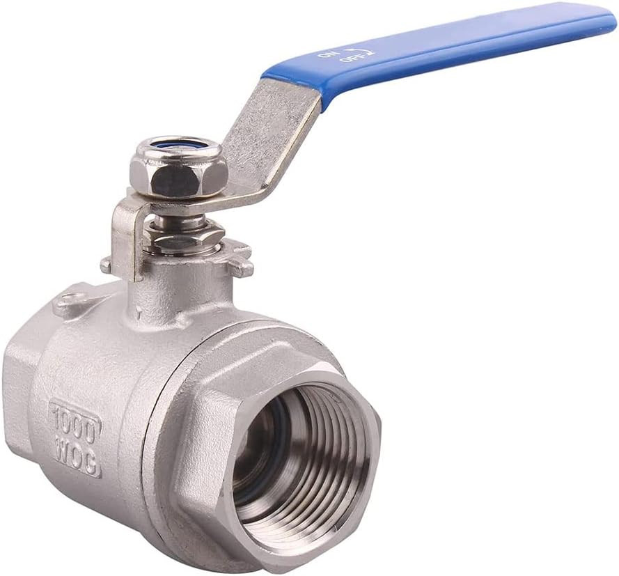 2 Inch Stainless Steel (304) Ball Valves - Full Port 1000 PSI (W.O.G)