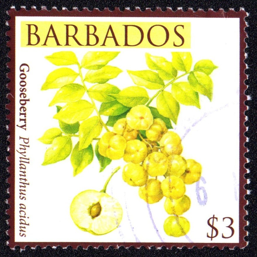 BARBADOS 2011 Definitive issue $3 fruit Michel 1201 used W 2644