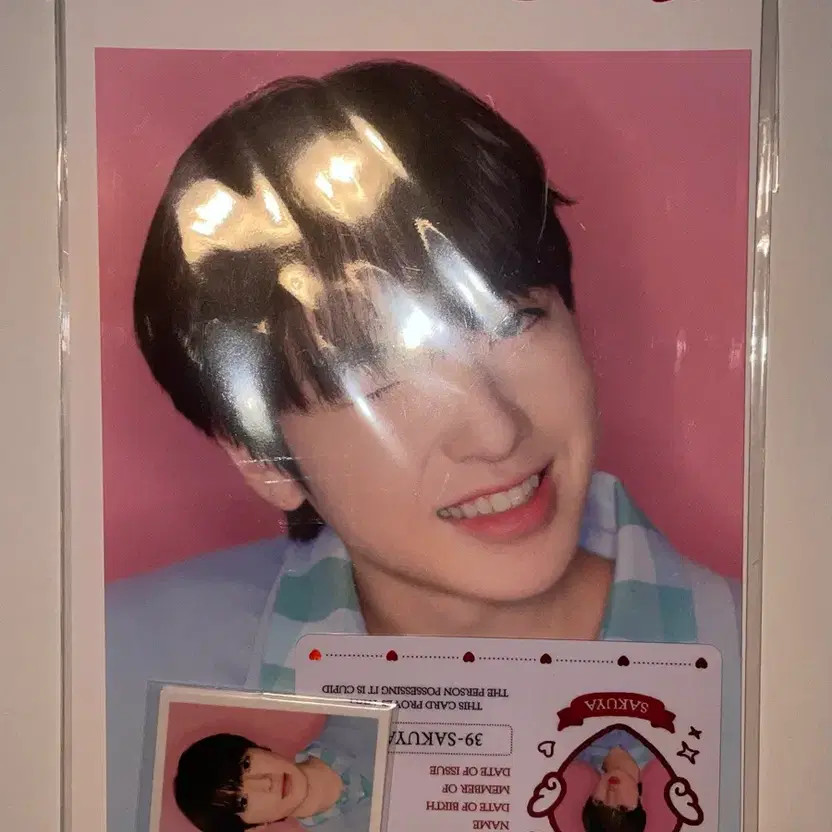 Seady Pop-Up MD Sakuyah Photo Set Unopened