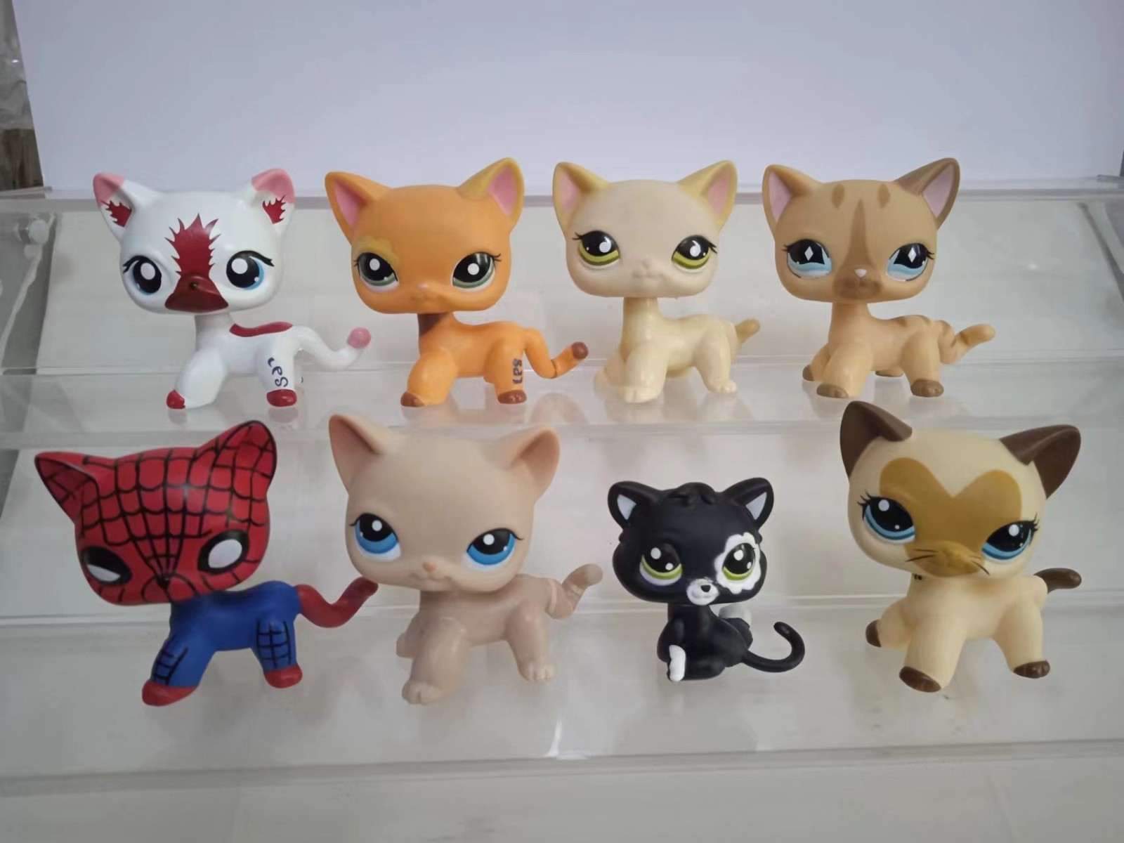 8pcs/lot LPS Toys Littlest Pet Shop Short Hair Cat Animal Figures 063