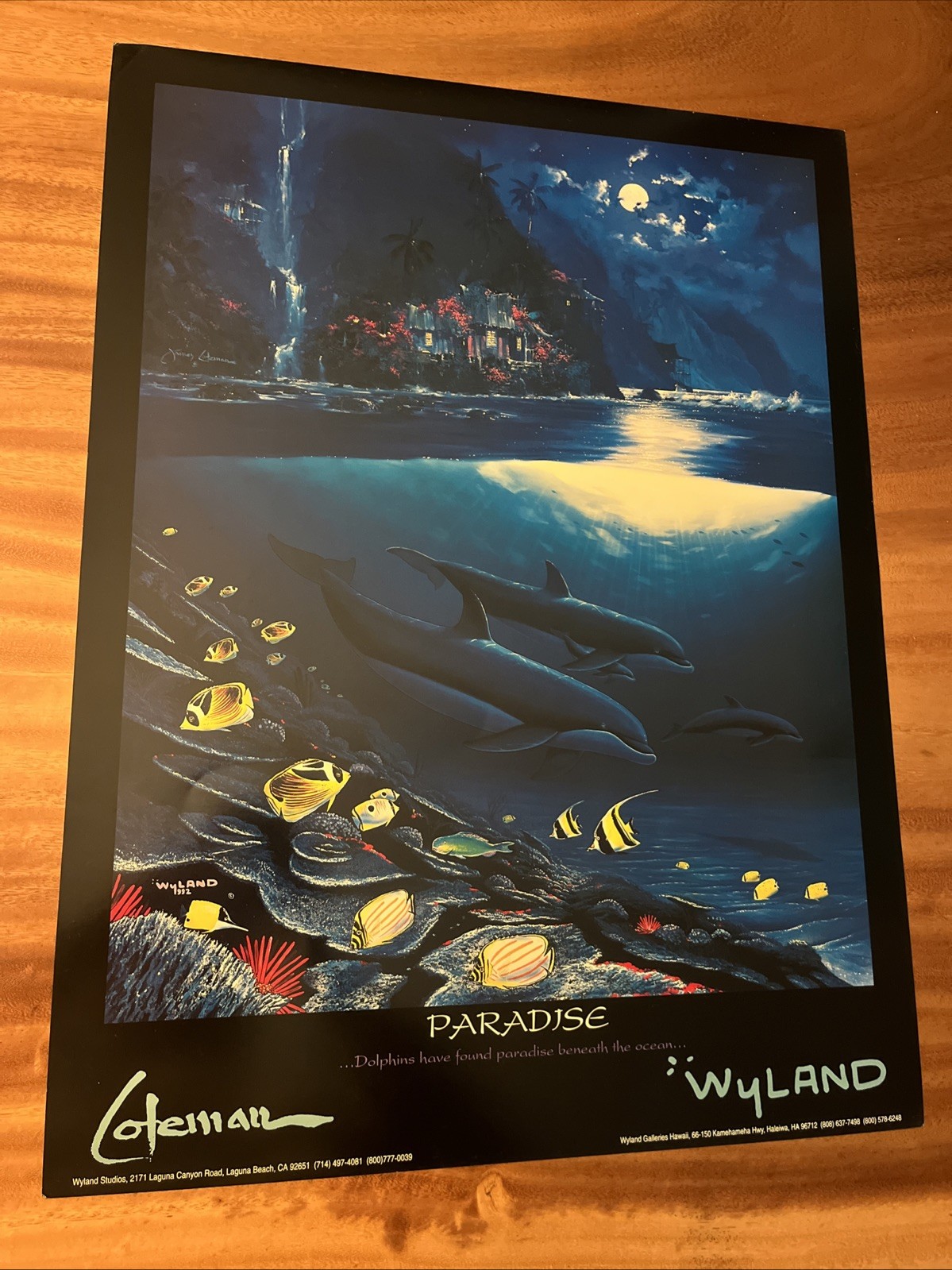 Wyland Paradise Waterfall Poster Vintage Dolphin Art Print Ocean Wildlife