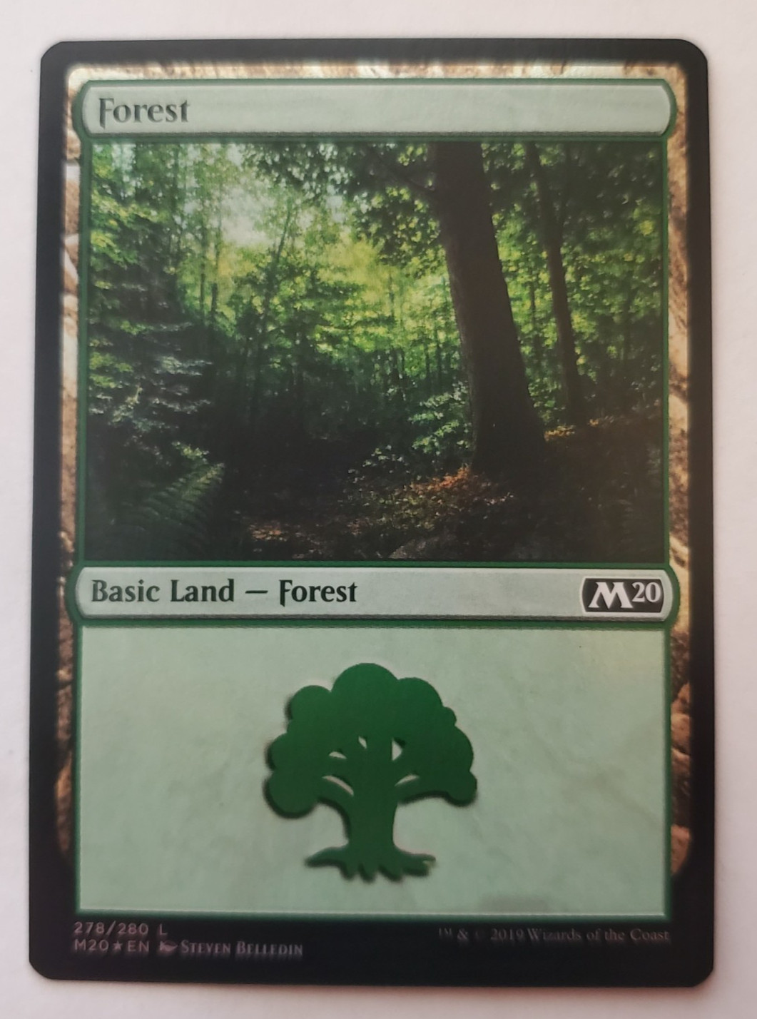 1x Forest (278) FOIL M20 Core Set 2020 MTG Magic the Gathering NM