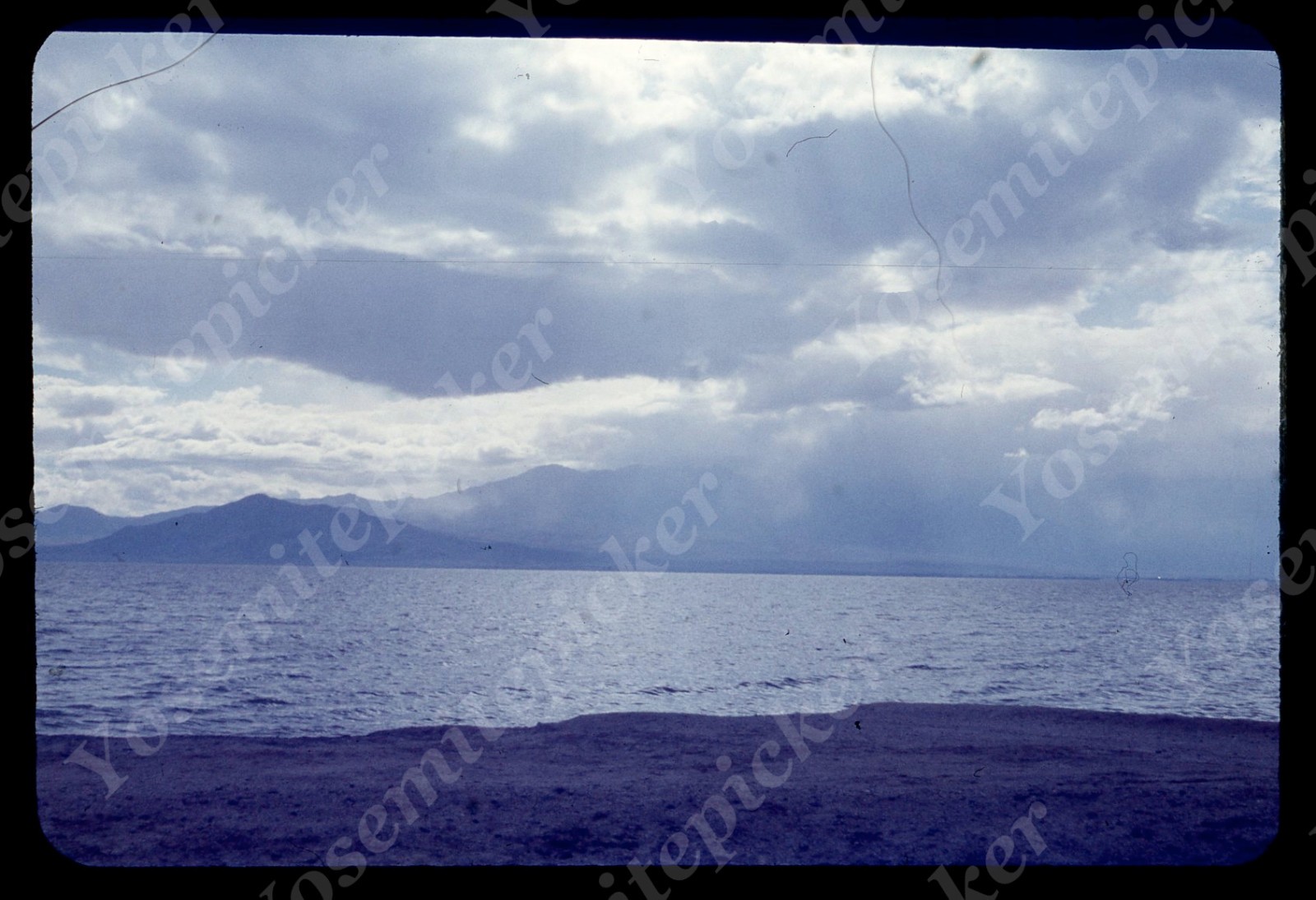 sl14 Original slide 1950's  Salton Sea view from beach 291a