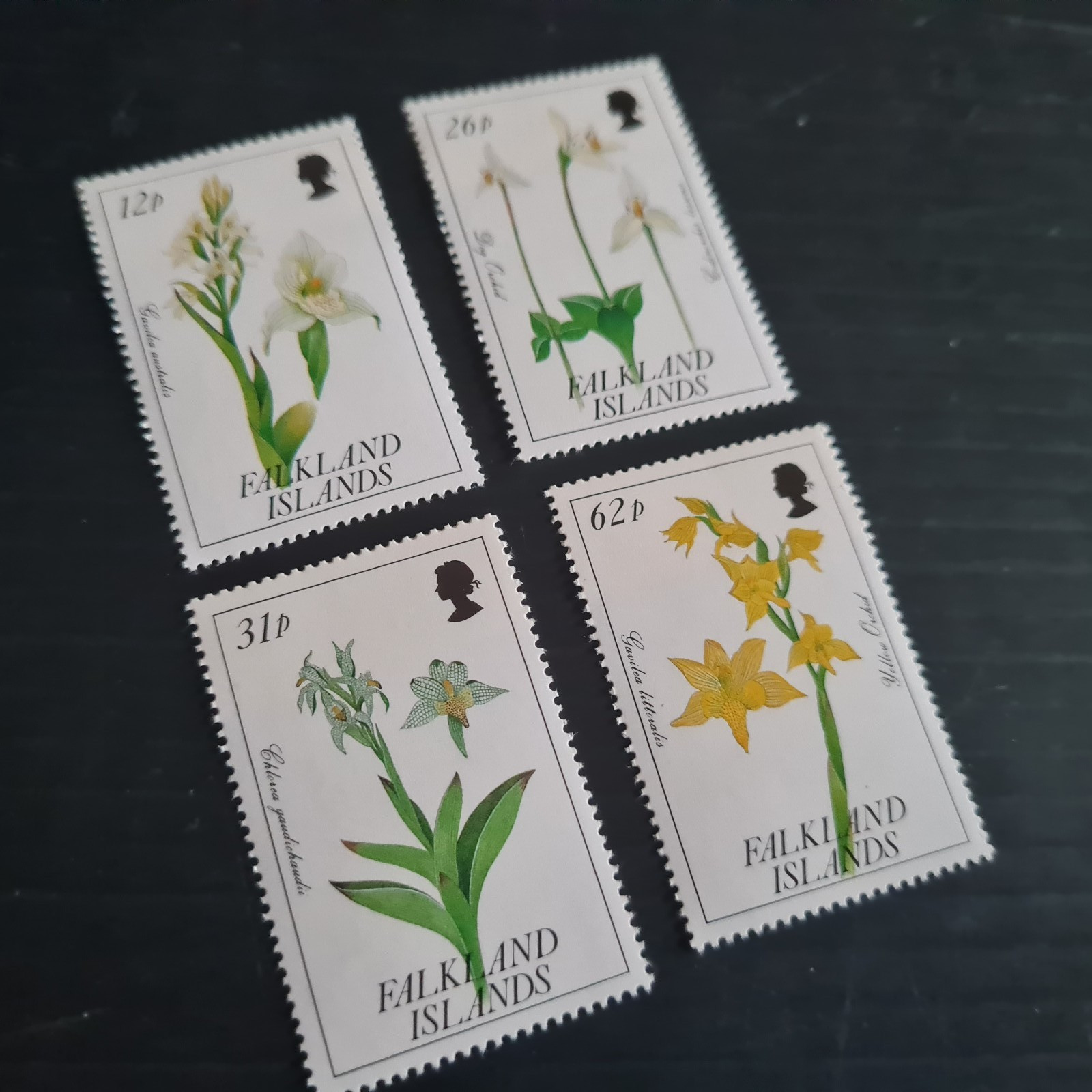 FALKLAND ISLANDS 1991 SG 629-632 ORCHIDS  MNH