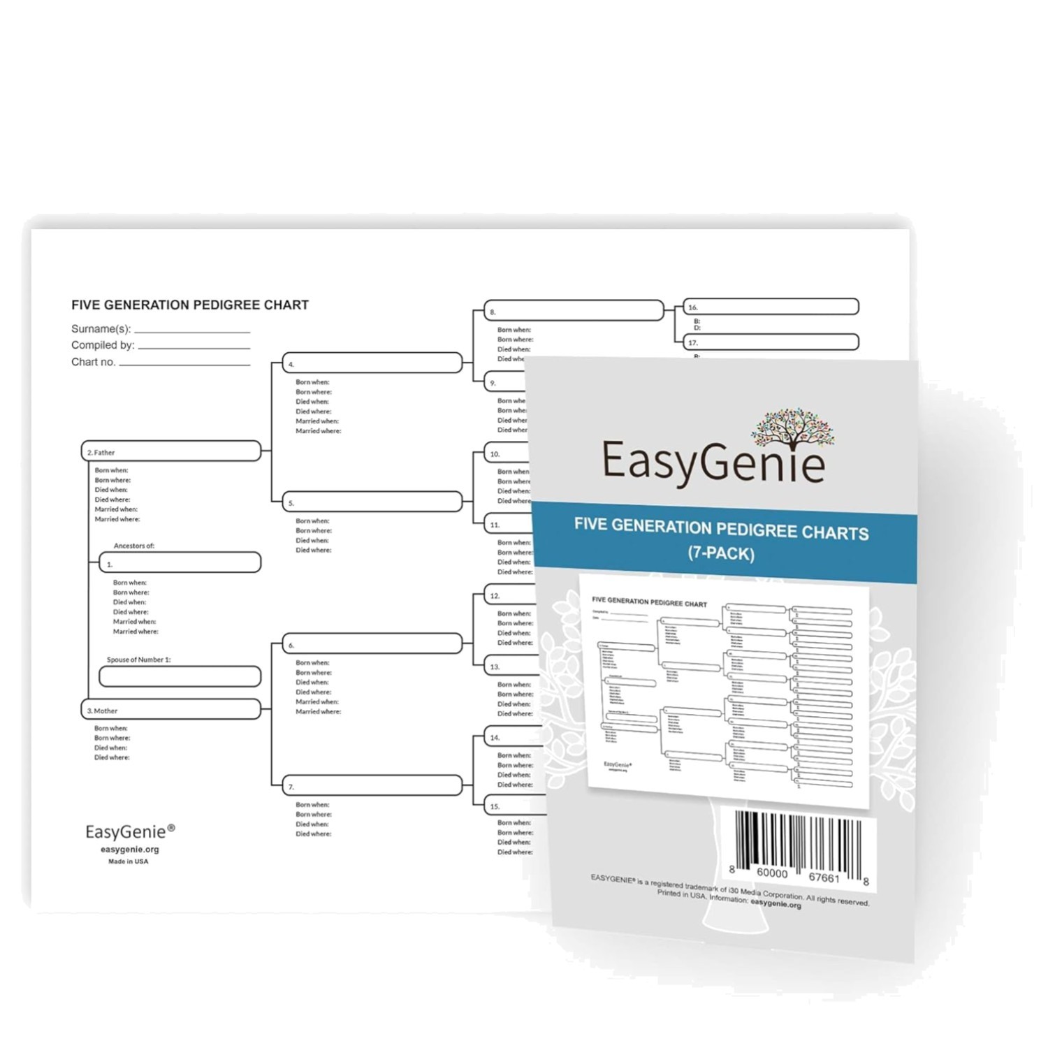 Thick and Elegant 7-Pack Genealogy Pedigree Charts for Preserving Family History