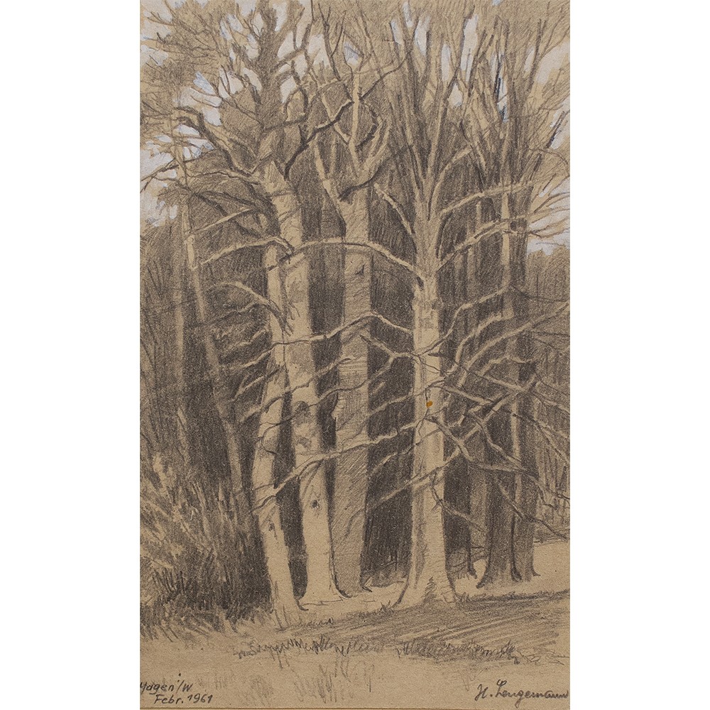 Heinrich Langemann forest landscape Hagen Westphalia sign pencil drawing 1961