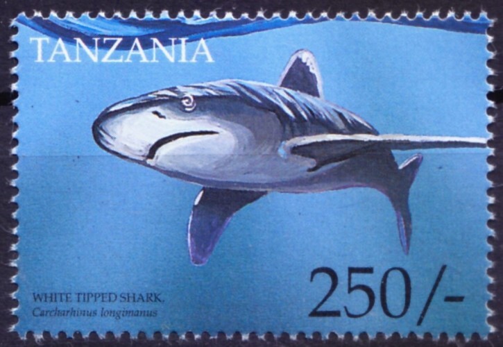 Tanzania 1999 MNH, Oceanic Whitetip Shark , Fish, Marine Life  [HS]