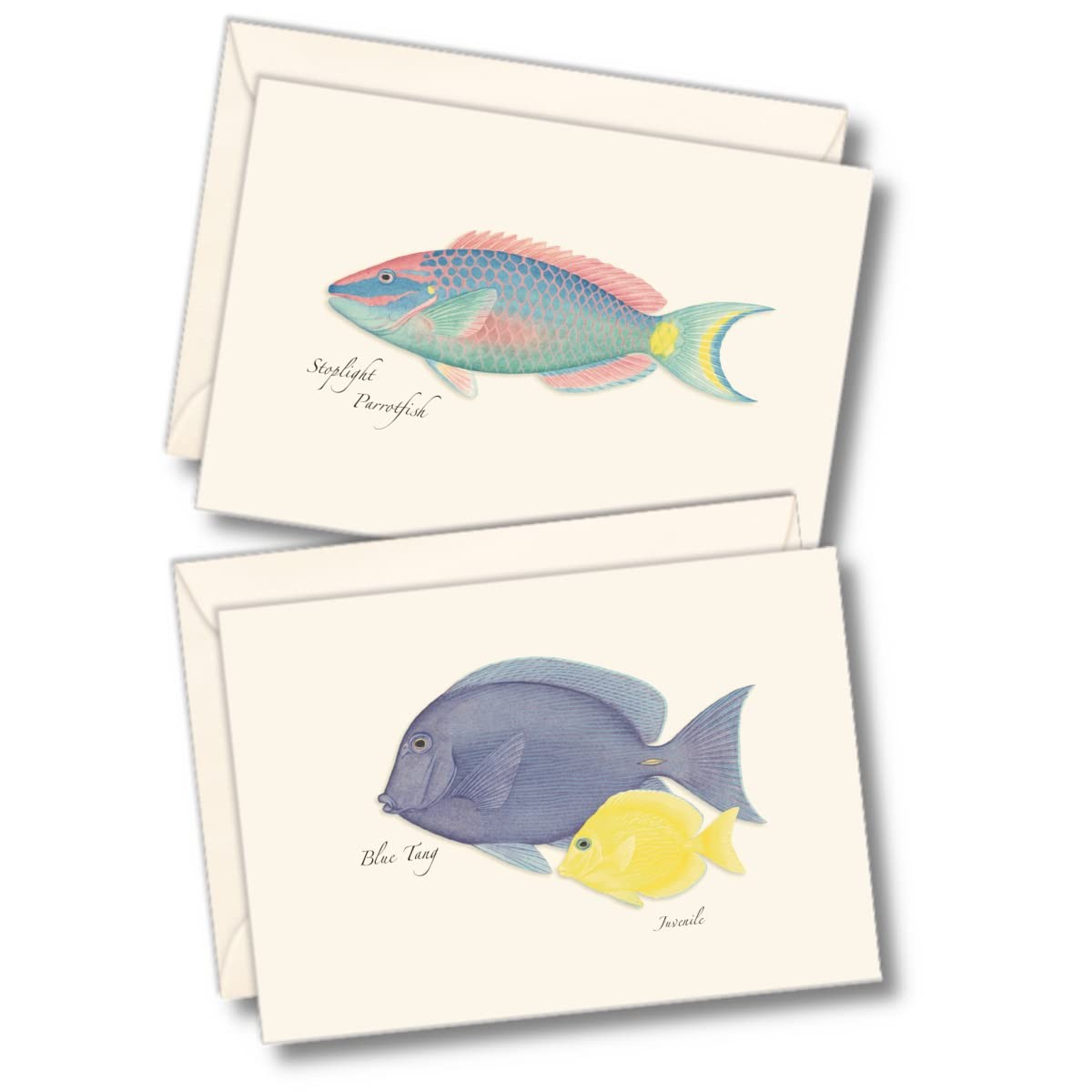8 PCS Reef Fish Assortment Notecard Set Blank Cards With Envelopes Letter