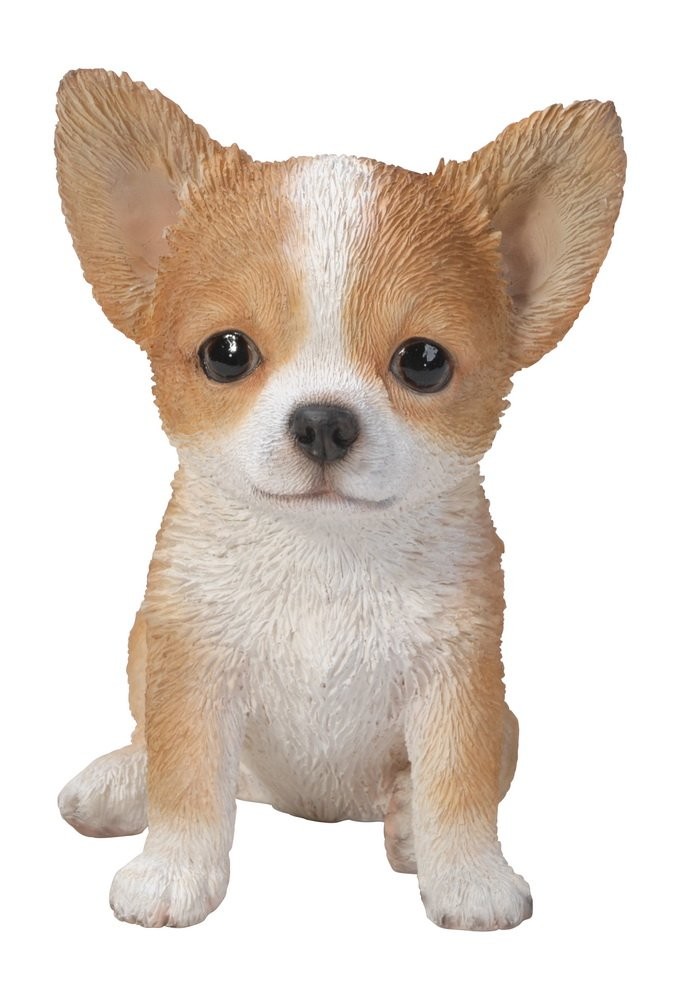 Hi-Line Gift Ltd Chihuahua Puppy Statue - Realistic Brown/White, Indoor/Outdoor