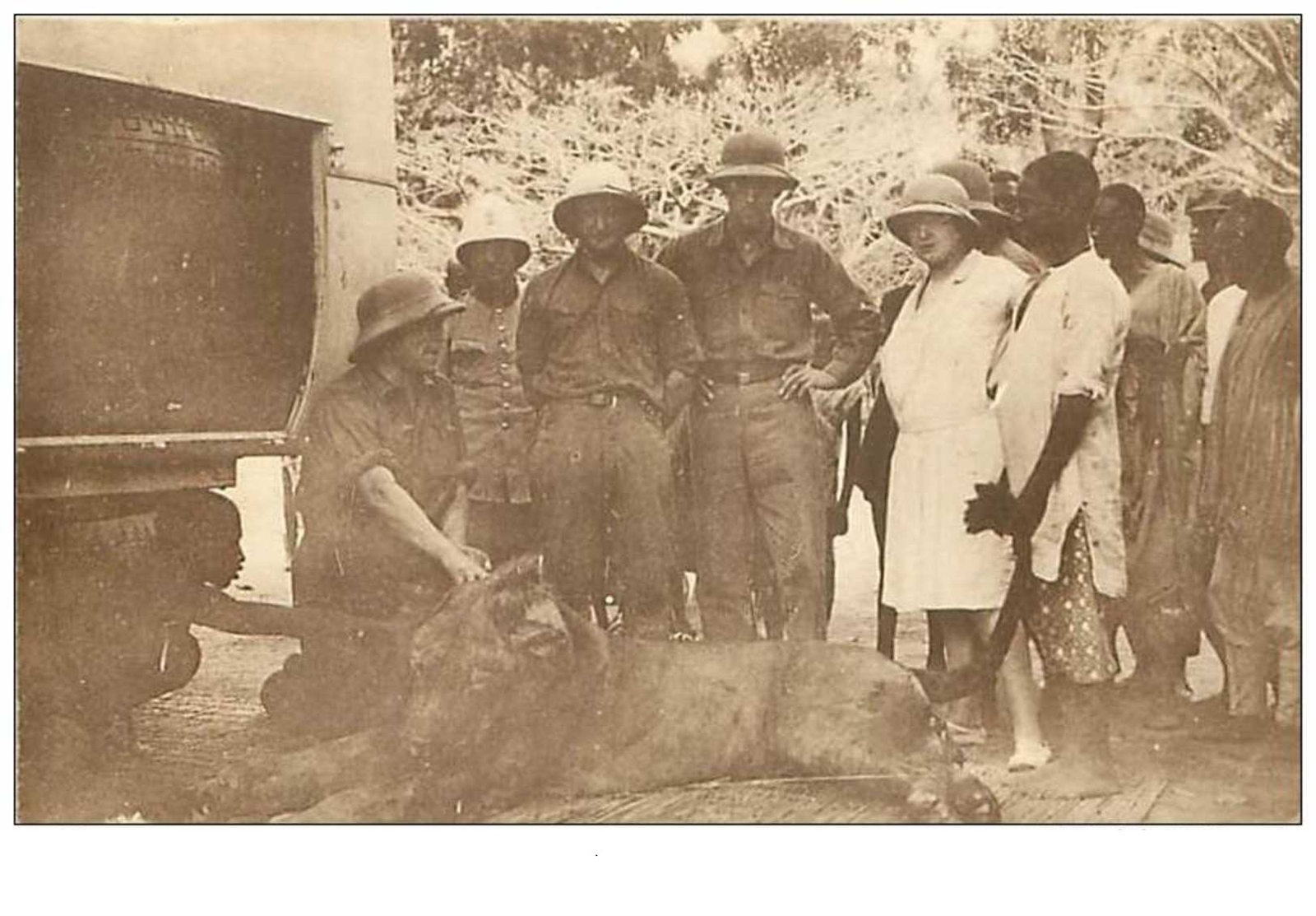 HUNT No. 6479 Return From A HUNT For The LION