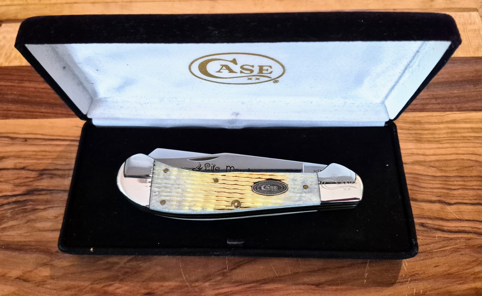 2008 Case XX 62100 SS Life Member CCC Saddlehorn Knife w/Display Box