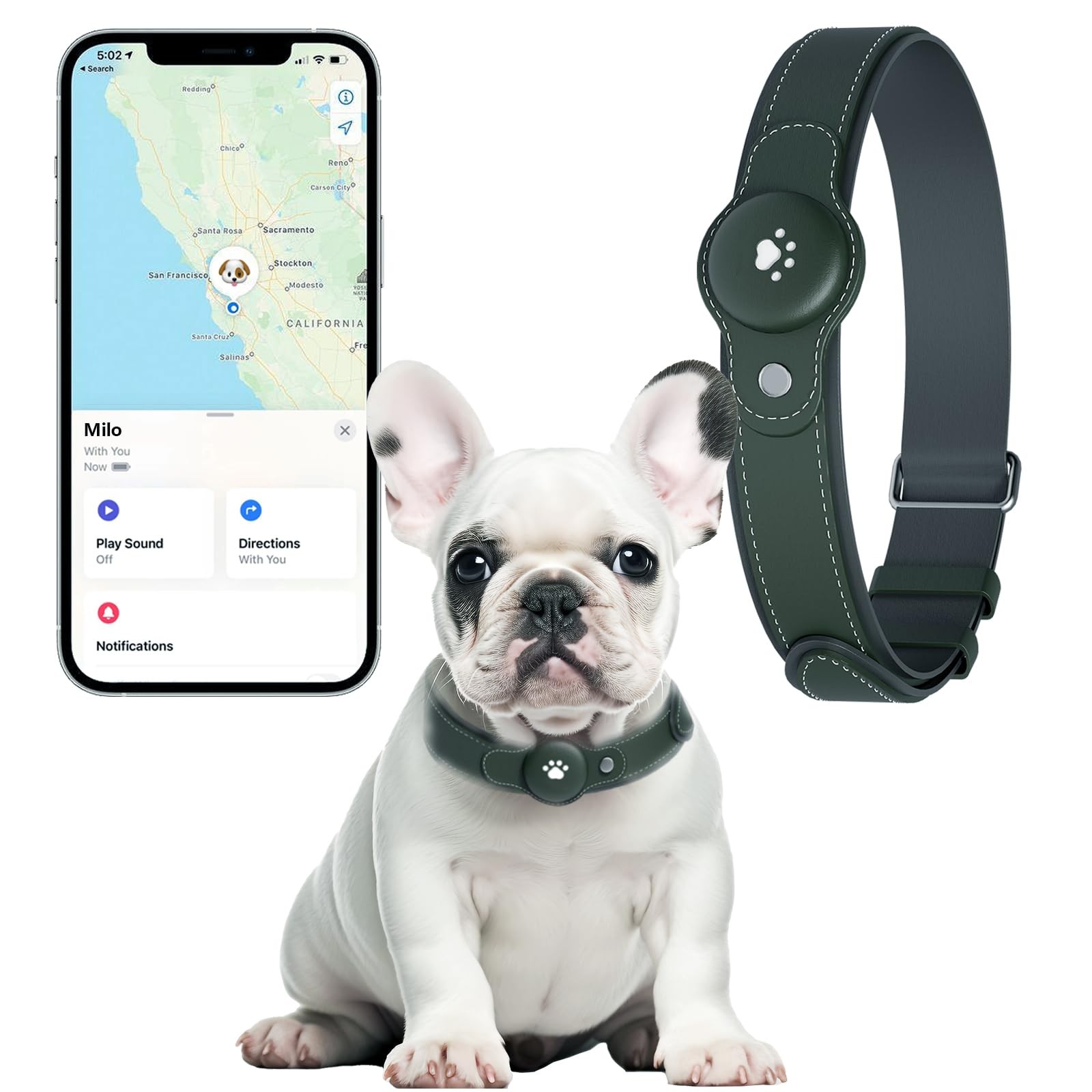 2-in-1 GPS Tracker for Dogs&Cats : Smart Collar with Real-Time Location, No M...