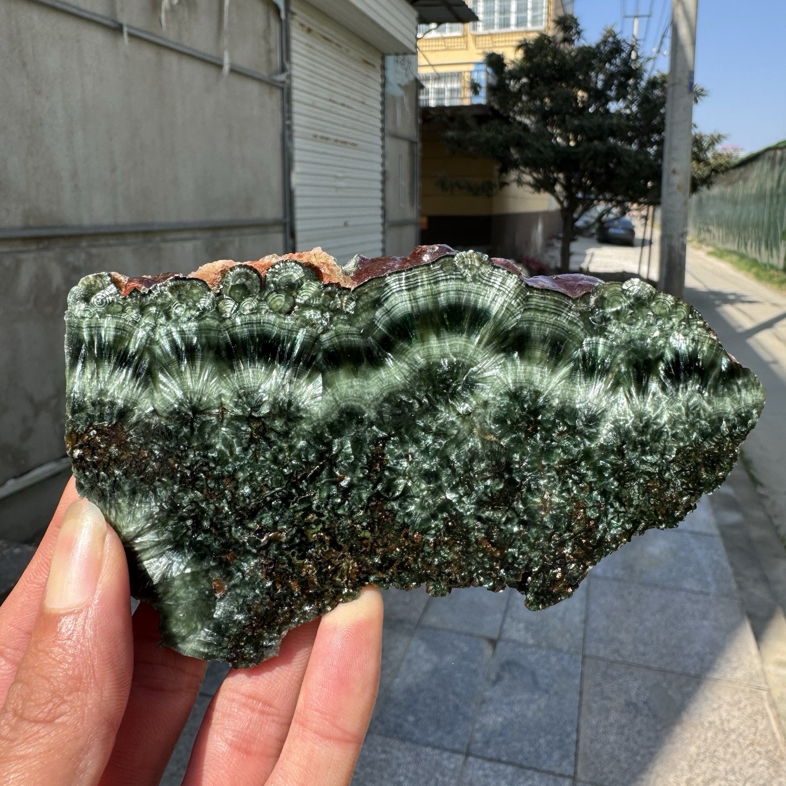 155g Natural Polished Green Seraphinite Gemstone Slab Crystal Mineral Specimen