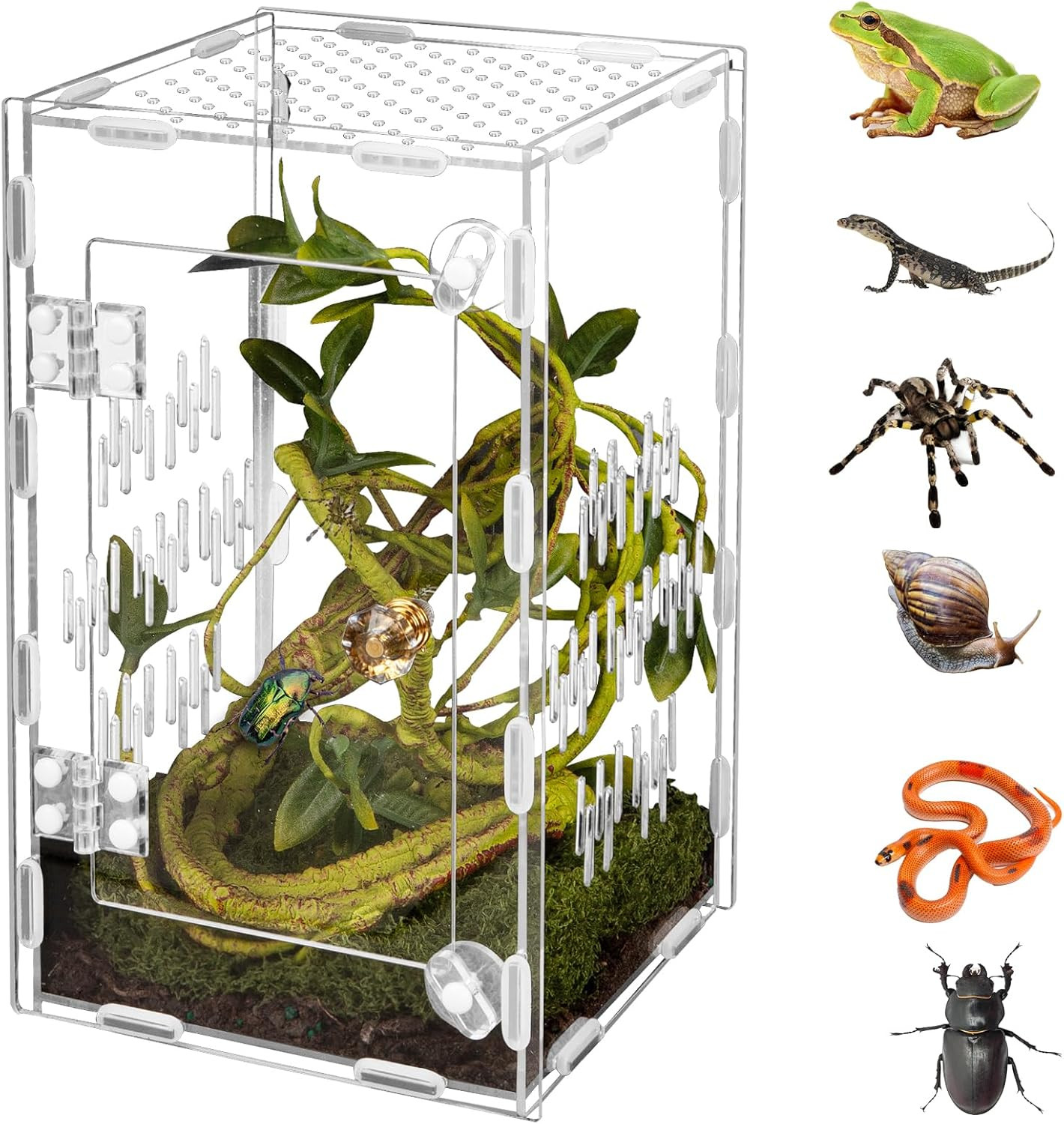 Acrylic Reptile Terrarium Easy Assembly, 360° Clear & Keep Pet Secure Design for