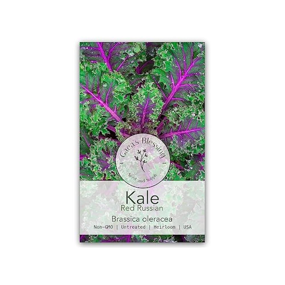 Home Garden Kale Seeds, Open,Pollinated, Non,GMO Red Russian with Tender