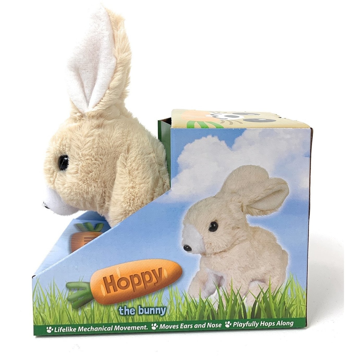 Hoppy the Bunny