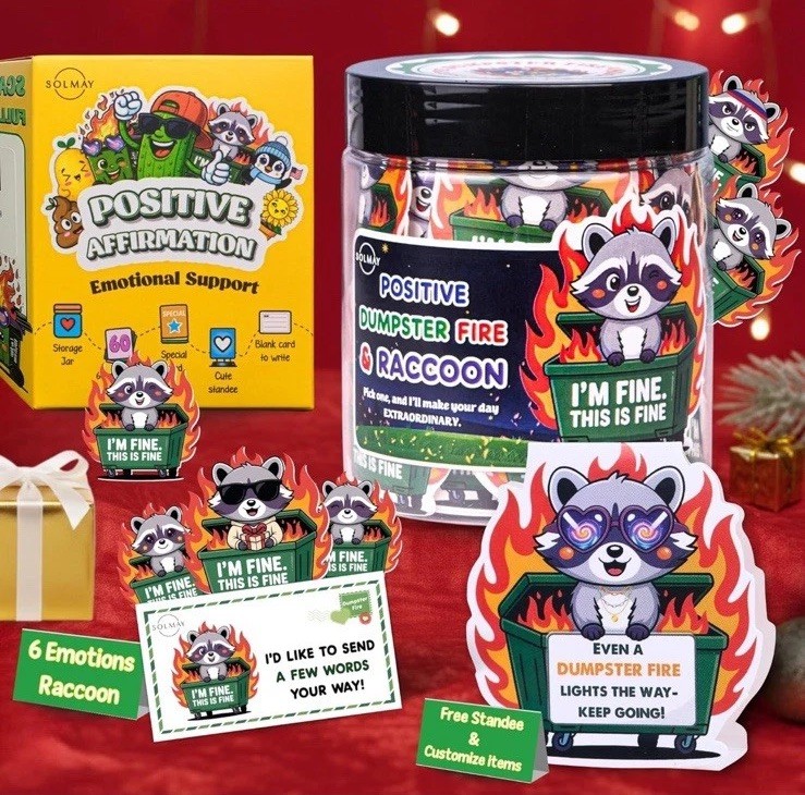 Funny Raccoon Dumpster Fire Affirmation Jar – 60 Sarcastic Positive Notes~New