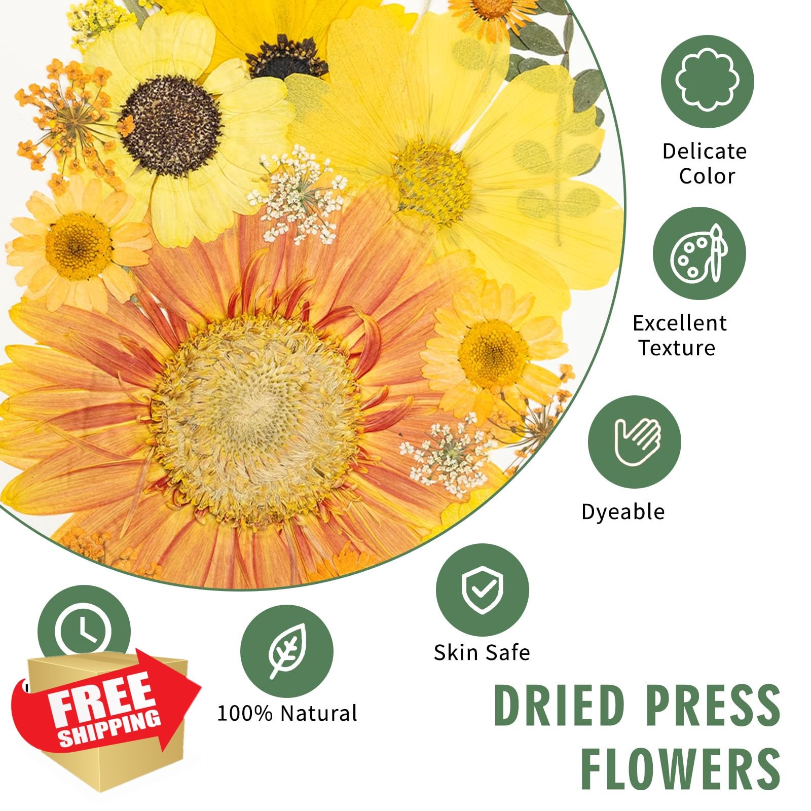 188 Dried Pressed Flowers Kit, Real Natural, Butterfly Stickers, Resin Crafts