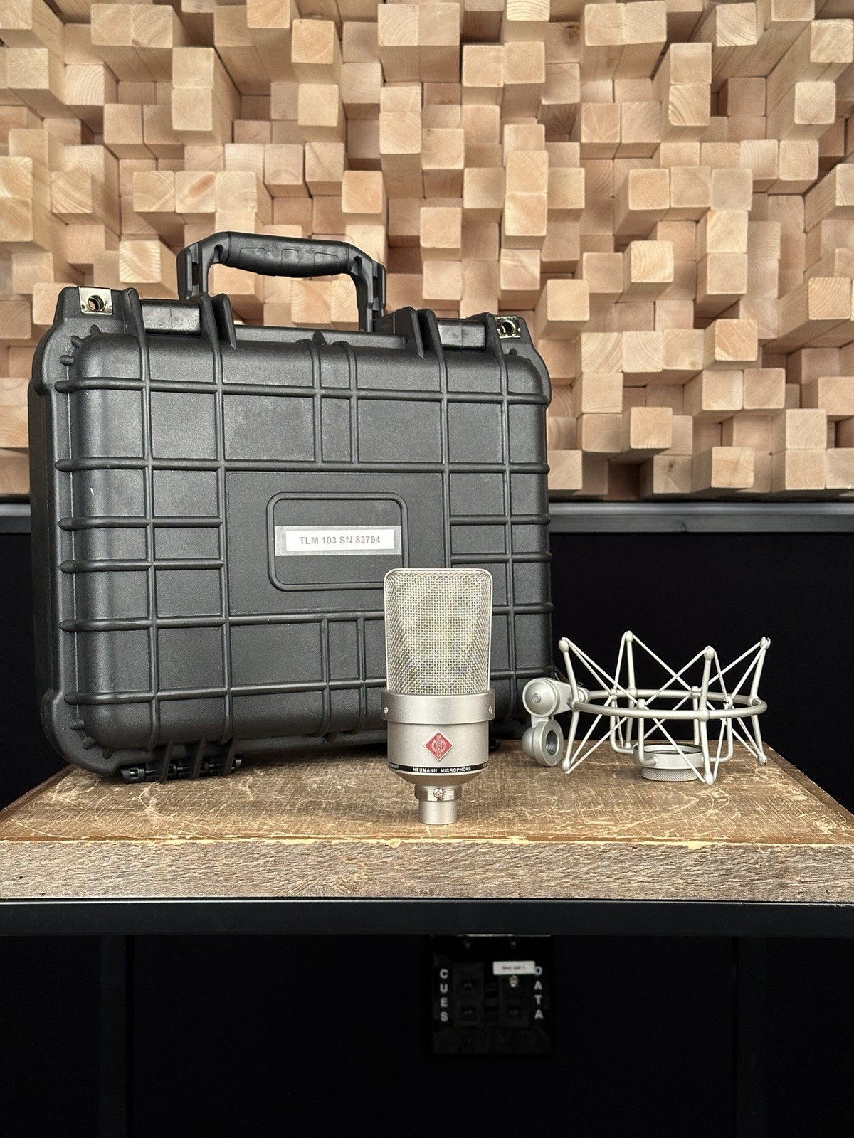 Neumann TLM 103 Condenser Microphone. Mint. TLM103 Nickel With EA-1 Shock Mount.