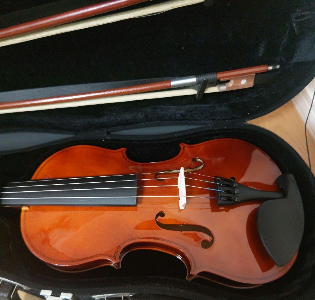 Fractional violin 3/4 case with 2 bows