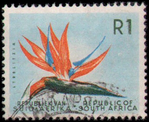 South Africa #266 Used