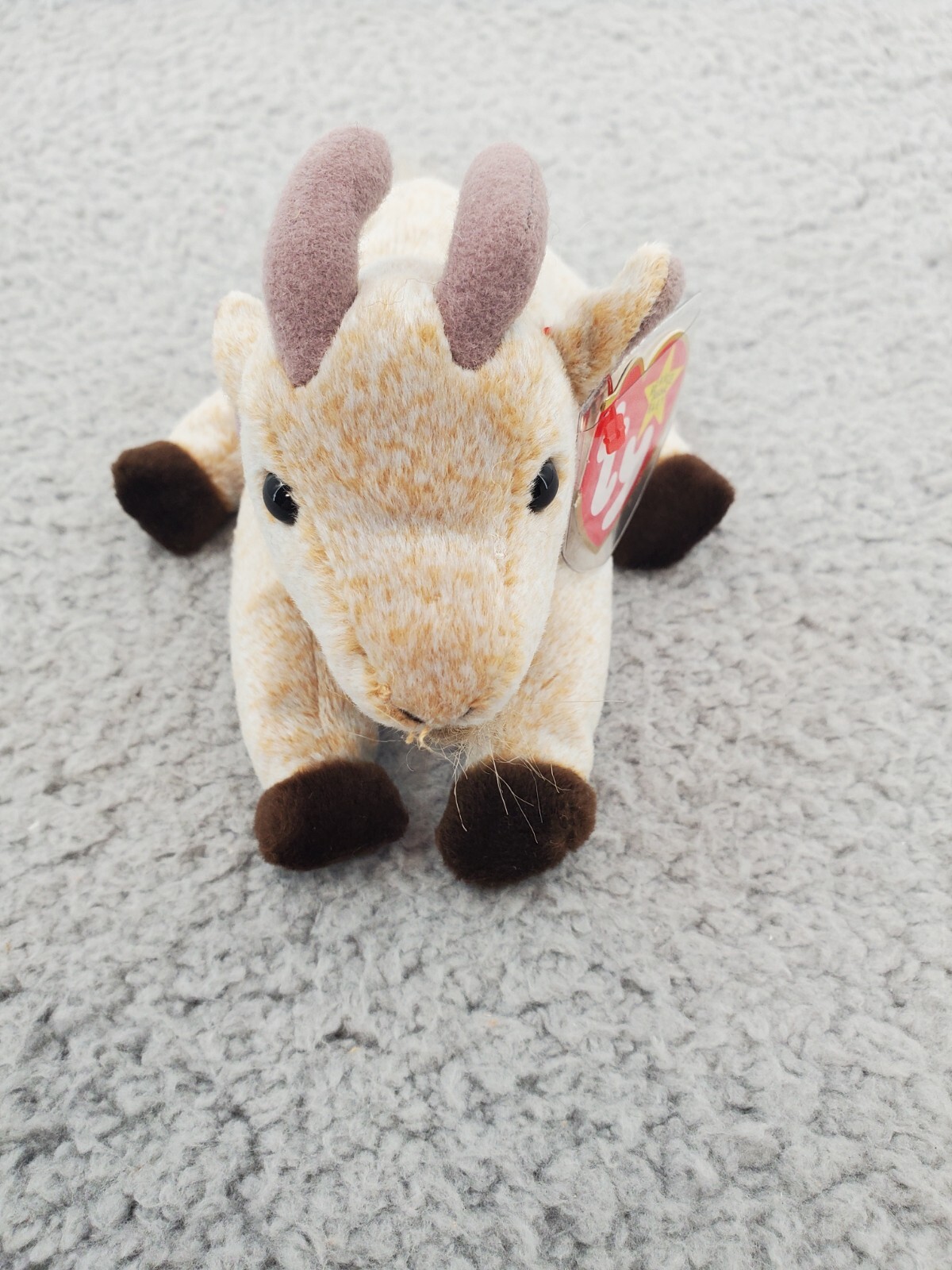 Ty Goatee Beanie Baby Tag Errors! “Gasport” 1998 Hang Tag 1999 Rear Tag