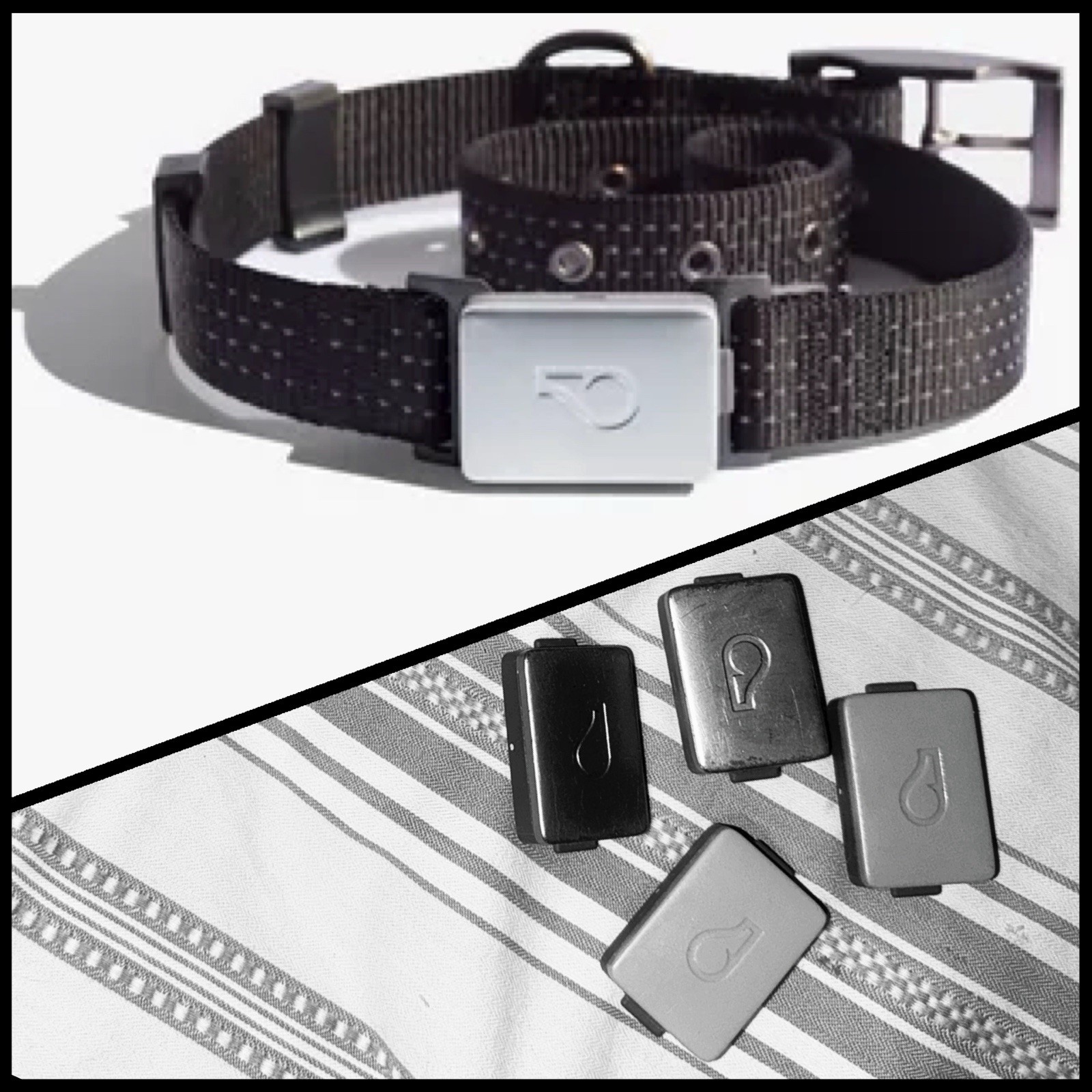 Whistle Switch Smart Collar Kit GPS Waterproof GPS Pet Tracker 4 Batteries