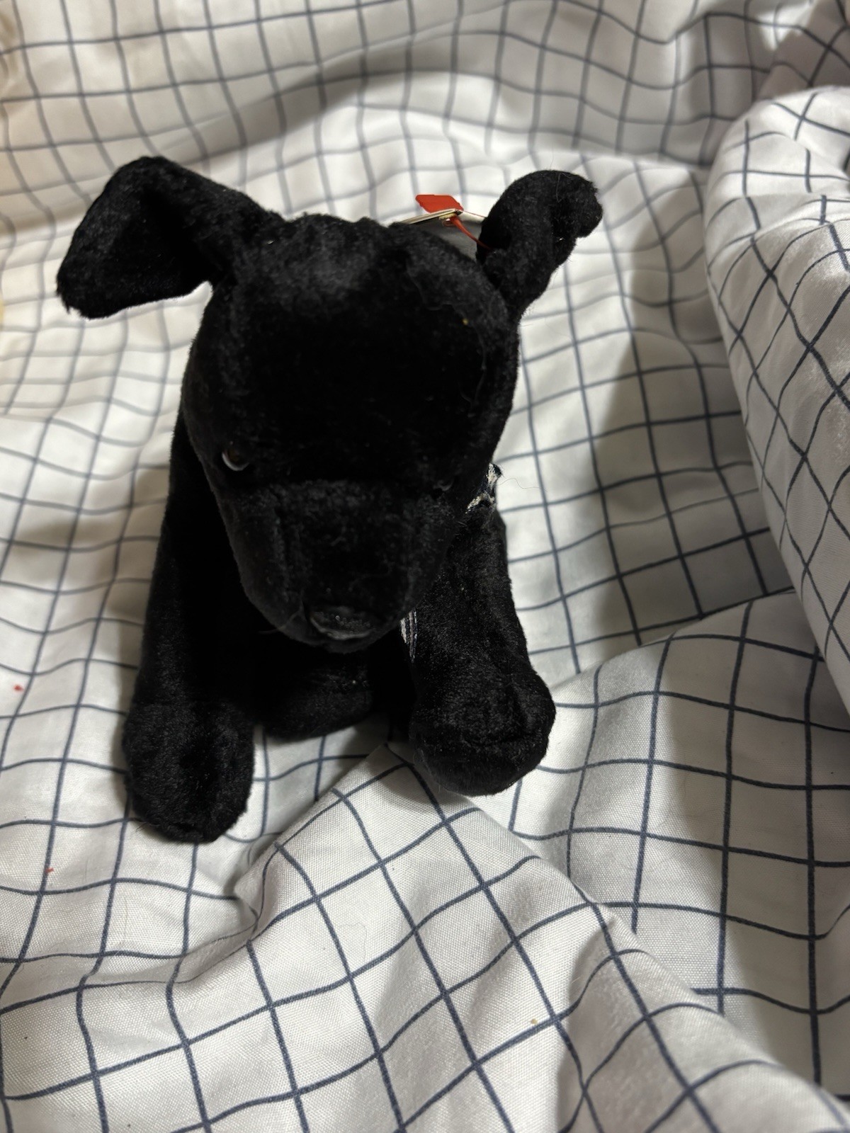 Ty Beanie Baby Luke Black Dog Retired Original, Ages 3-7