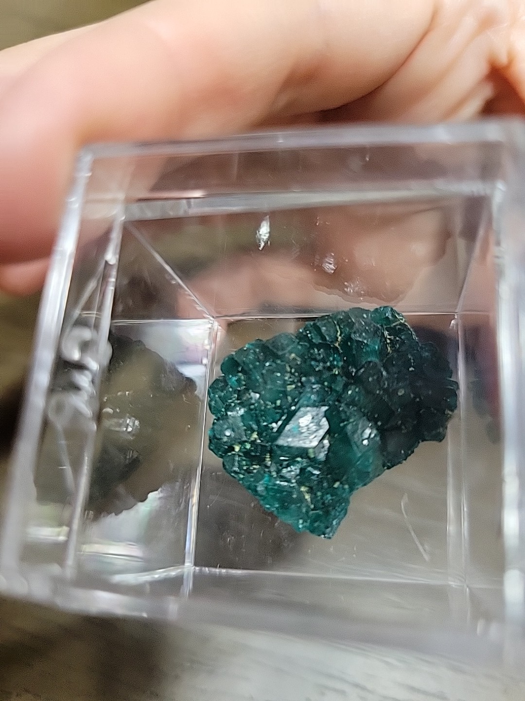Dioptase Crystal Specimen Emerald Green In Case