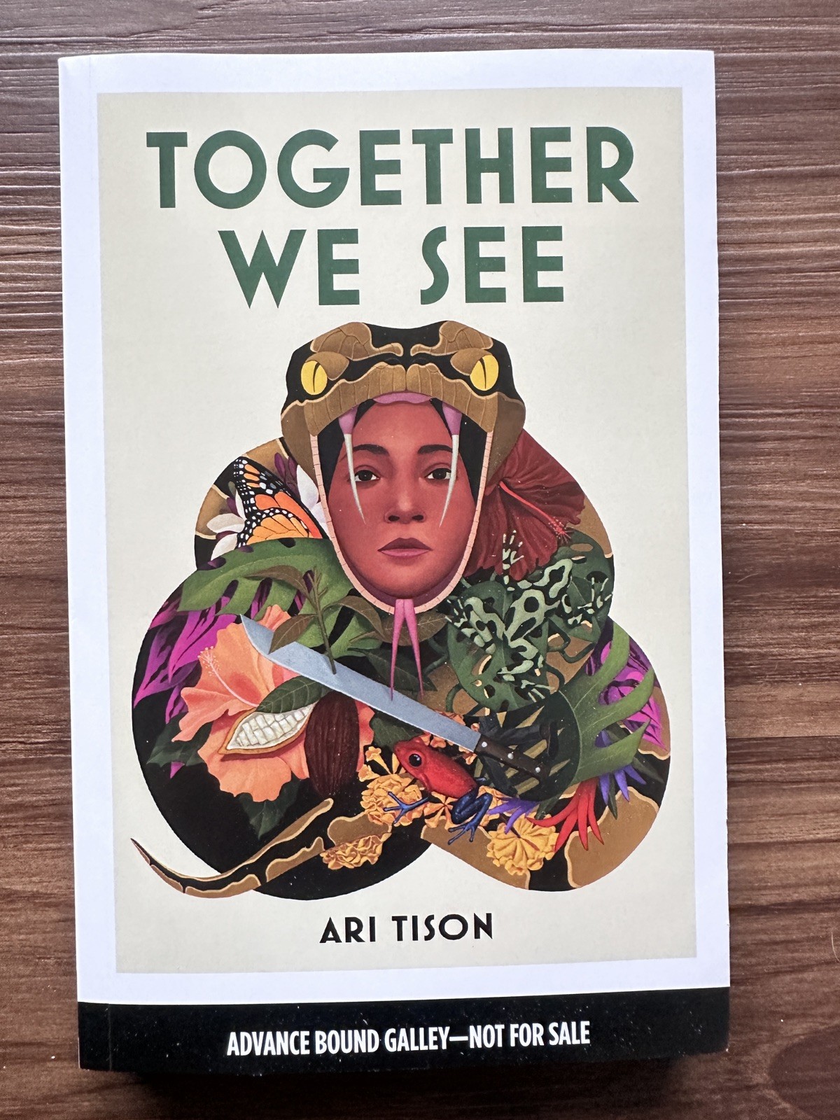 Together We See by Ari Tison ARC Paperback 2026