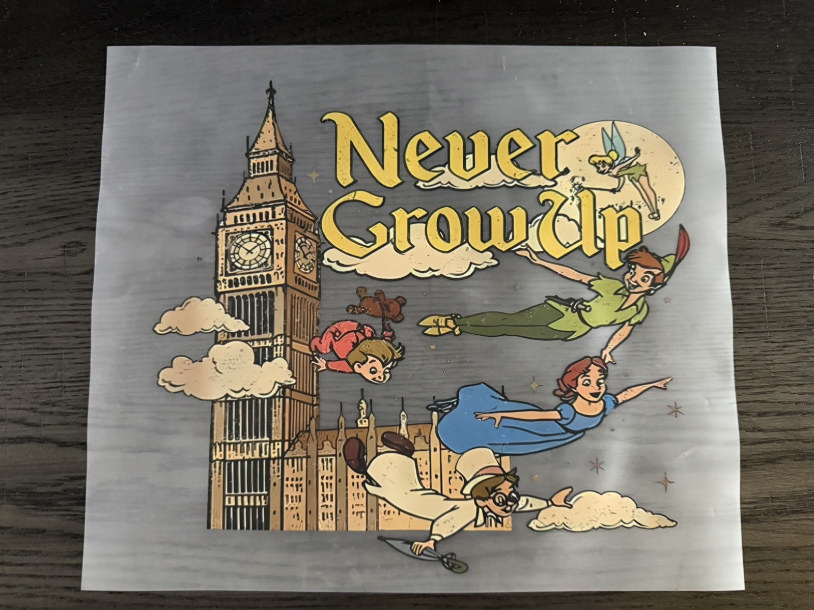 Disney Peter Pan Ready to Press Heat DTF Transfer Adult Size