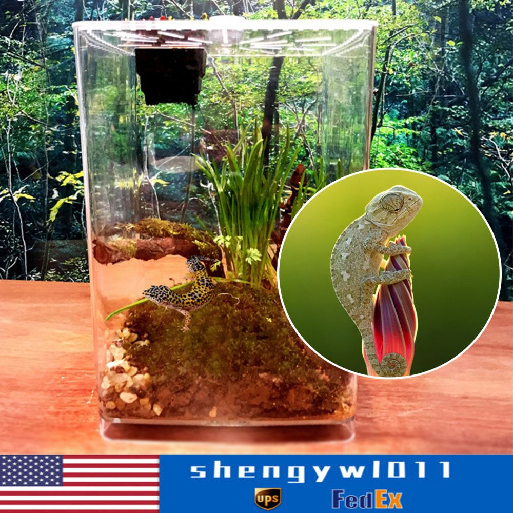 Large Acrylic Reptile Terrarium Gecko Lizard Spider Vivarium Enclosure Tank
