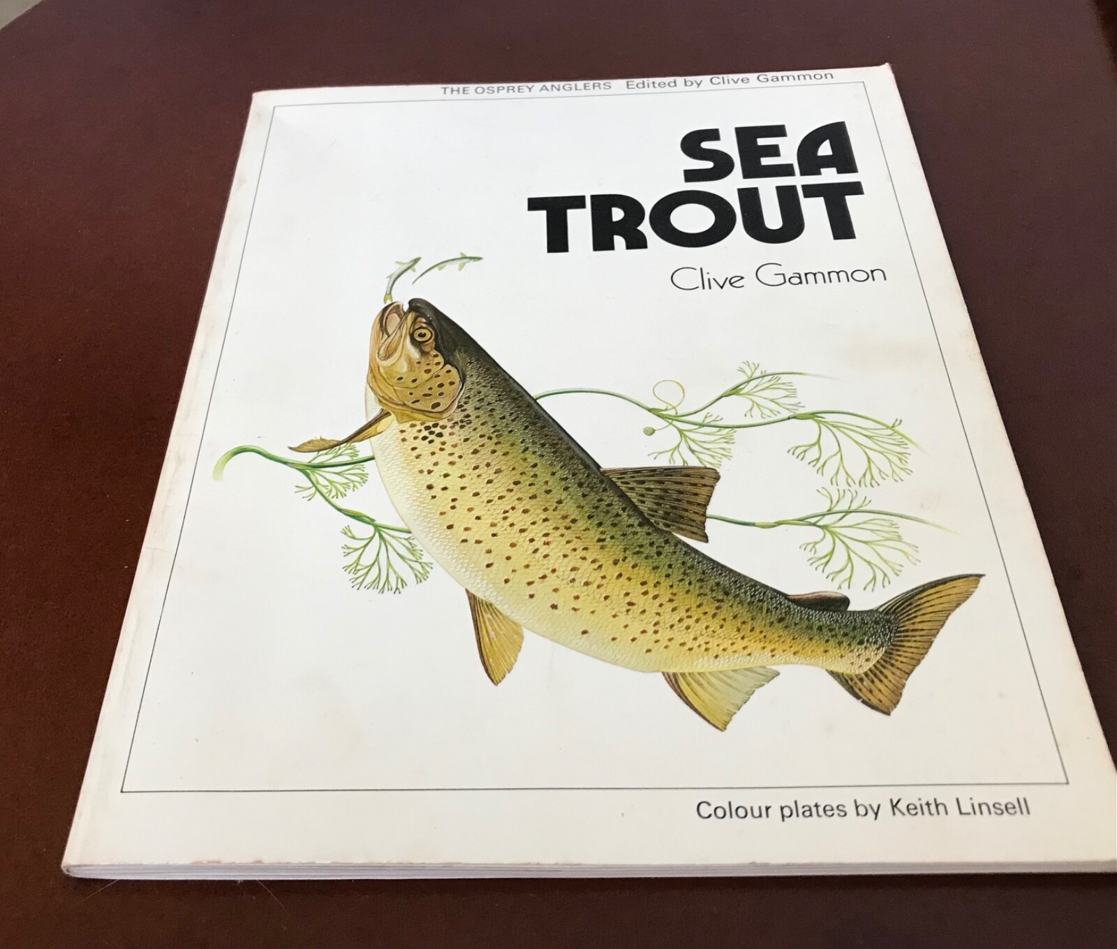 VTG SEA TROUT by Clive Gammon..1974..published in Great Britain