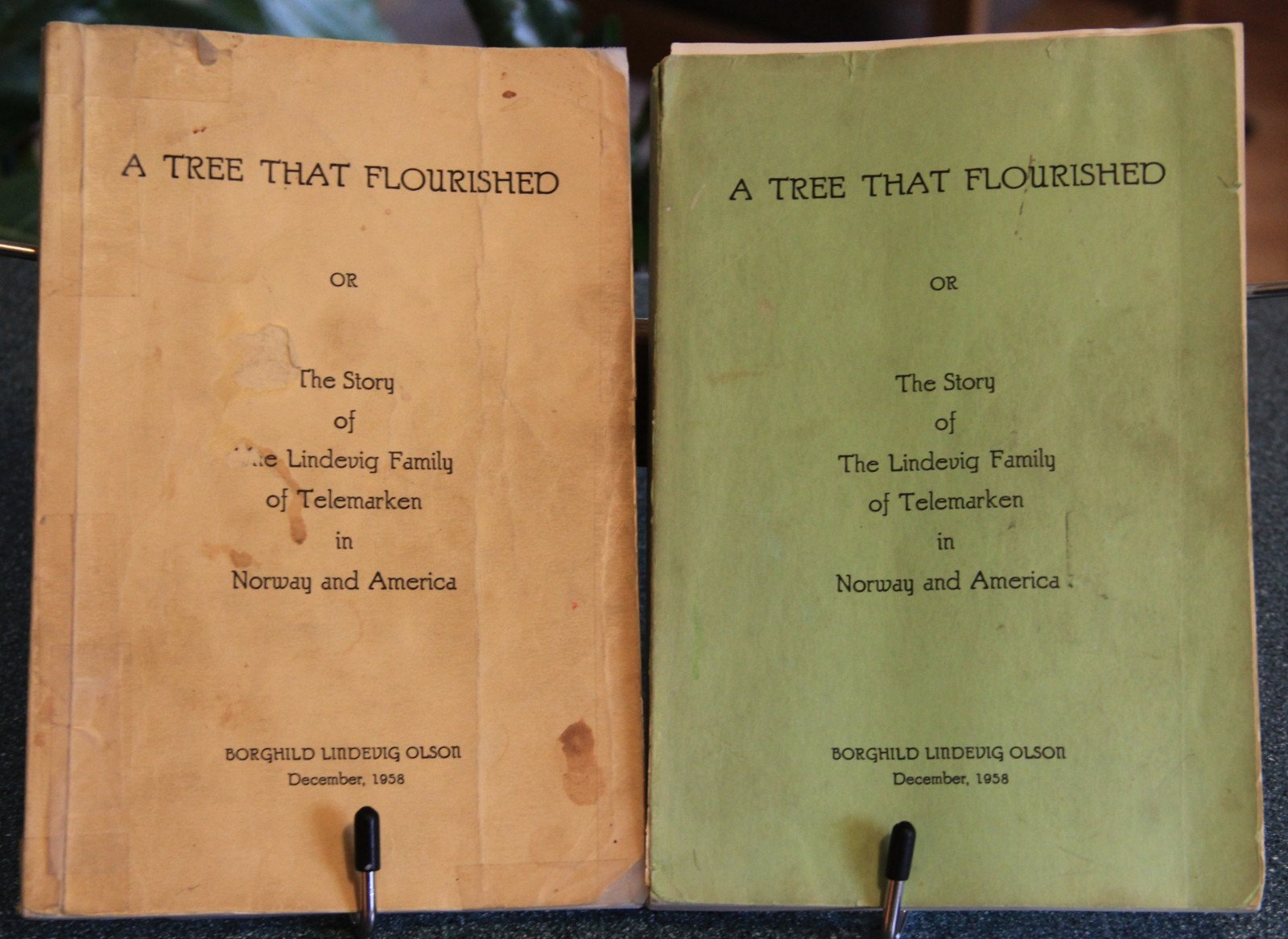 A Tree That Flourished: Lindevig Family of Telemarken in Norway & U.S., 2 vols.