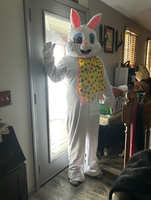 Bunny Costume Bow/Vest Unisex Adult Costume Easter 6'  XL Rabbit Separate Head