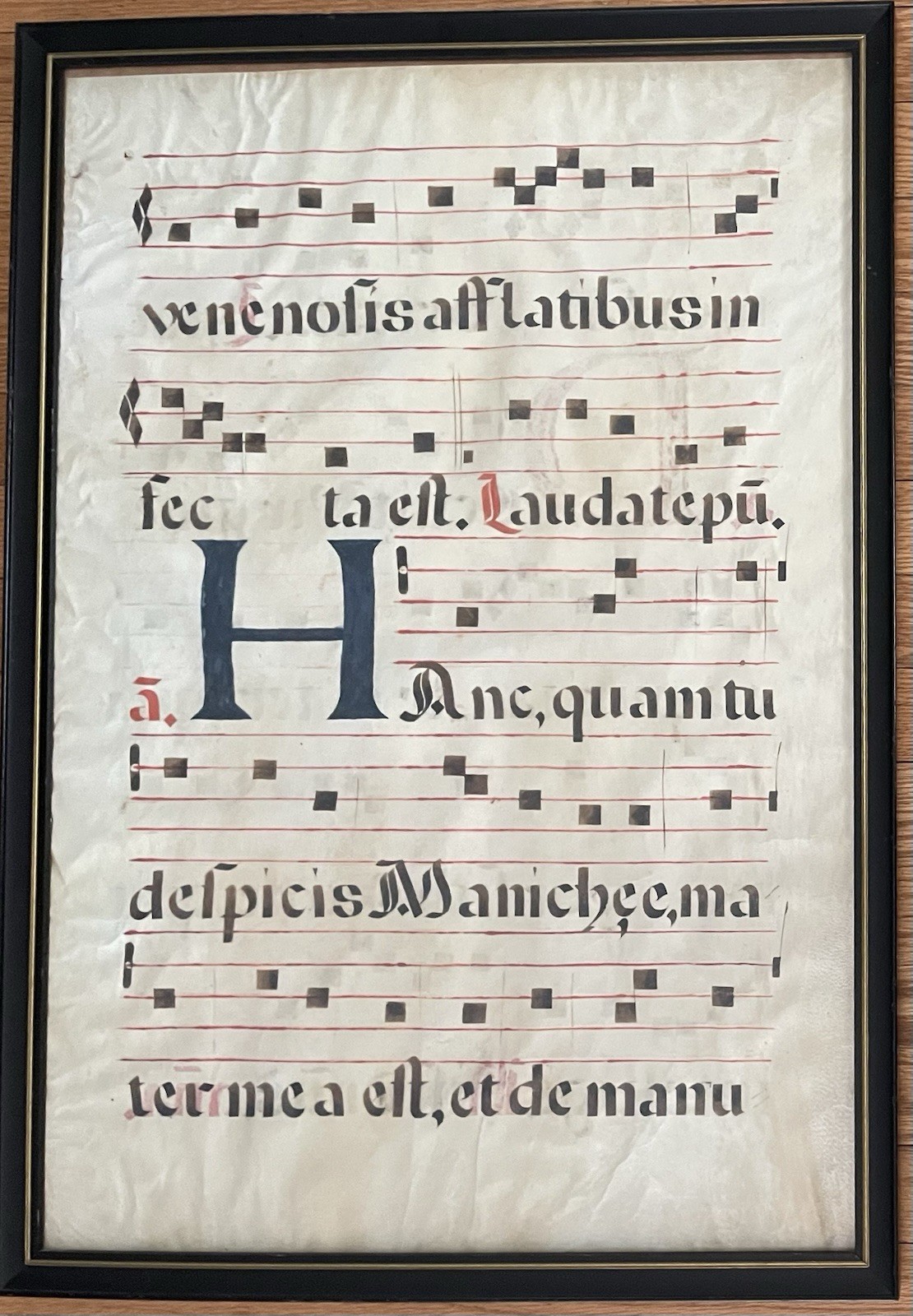Large Illuminated Manuscript on Vellum 21” X 30” Latin Red Blue Letters Framed 