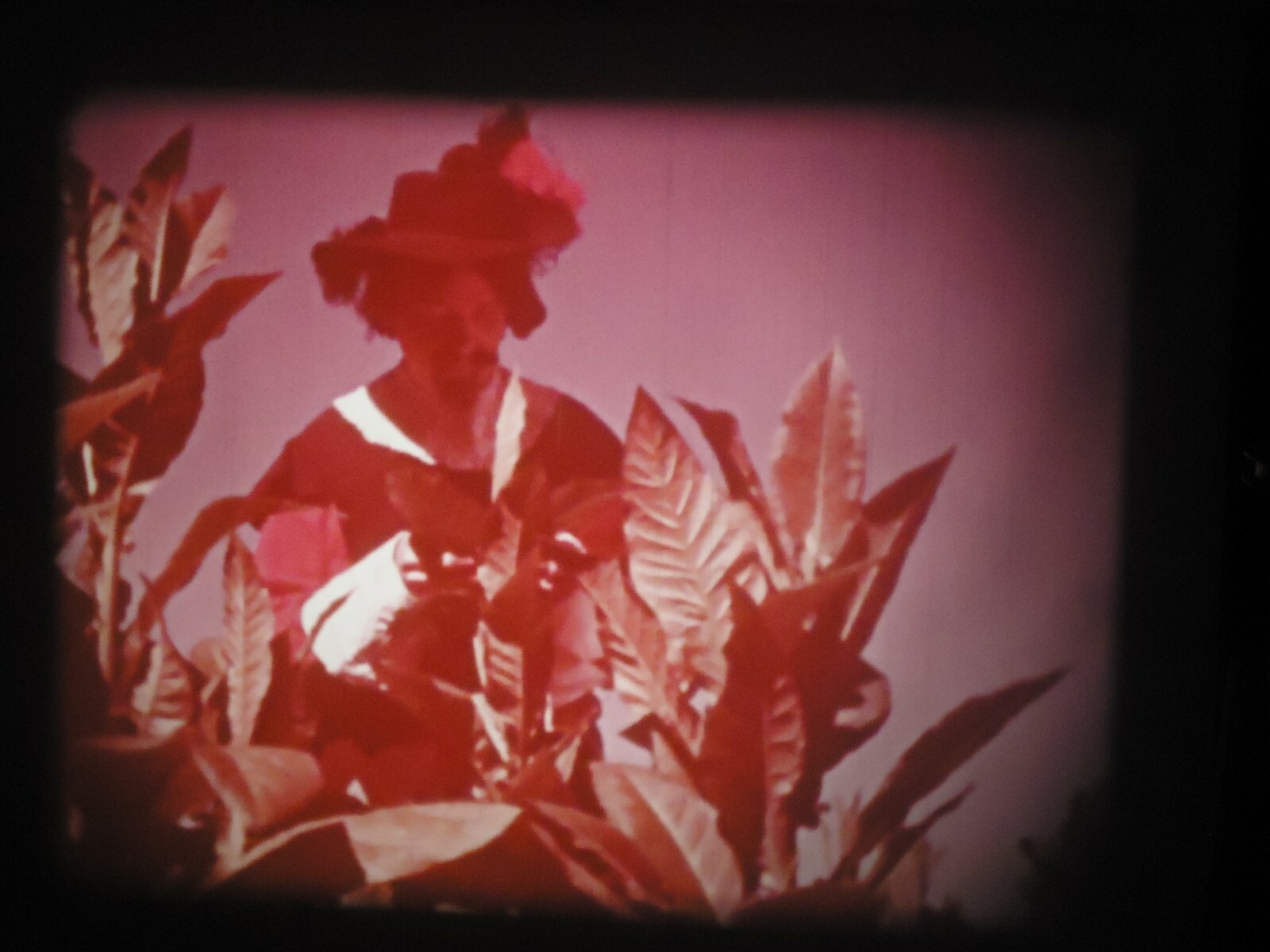 16mm English and Dutch Colonization in the New World Educational 400'