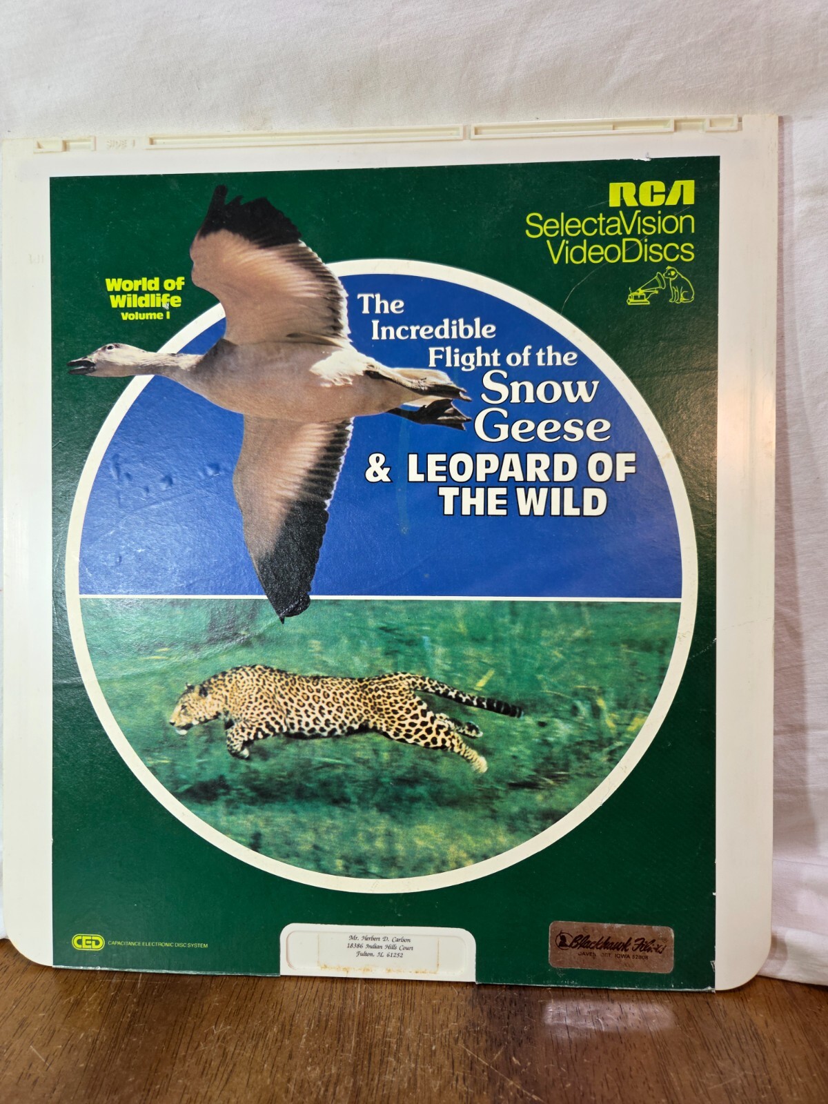 World of Wildlife Vol 1 : The incredible Snow geese & Leopard of the Wild CED
